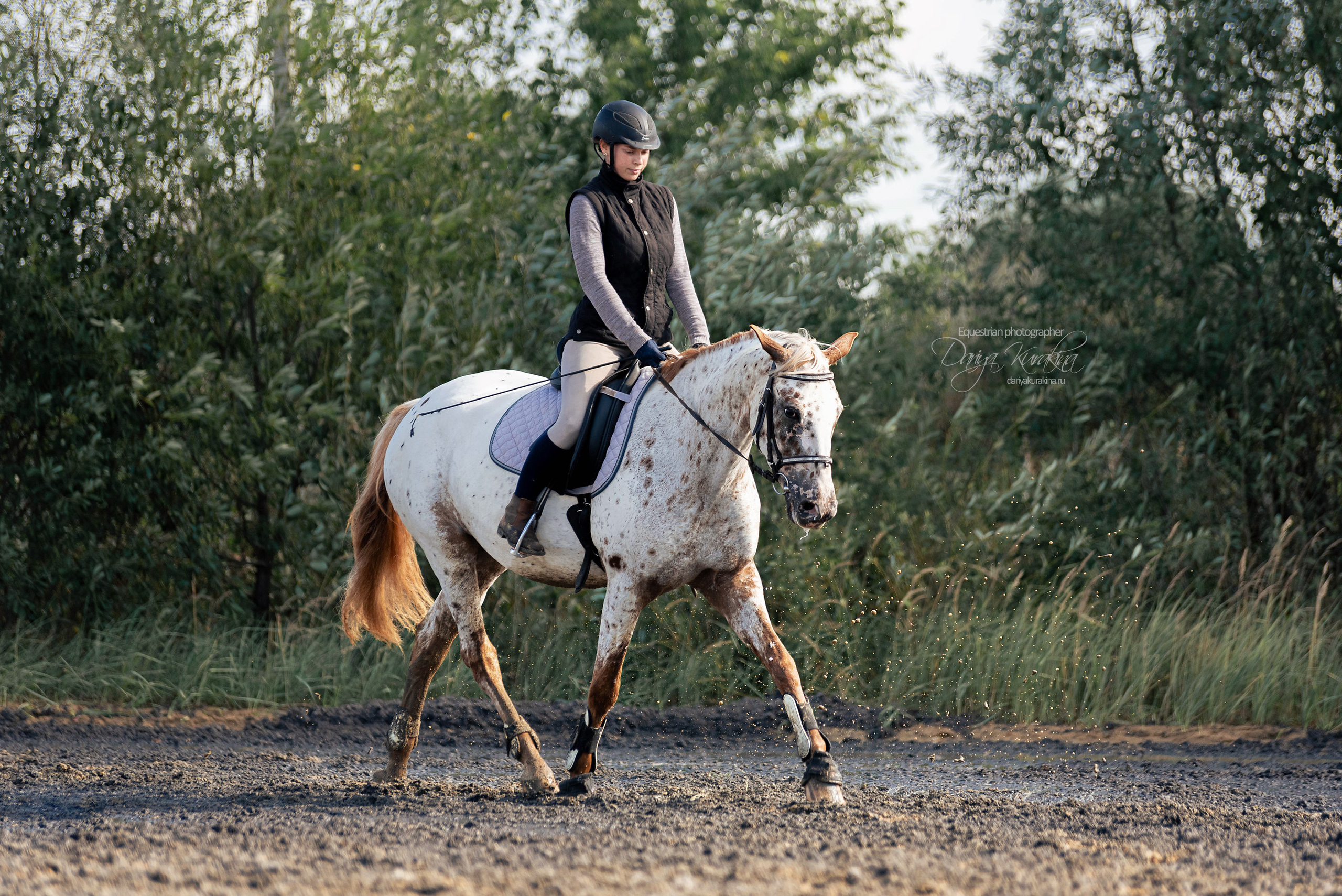 Кнабы. Конный фотограф Куракина Дарья • Фотосессии с лошадьми