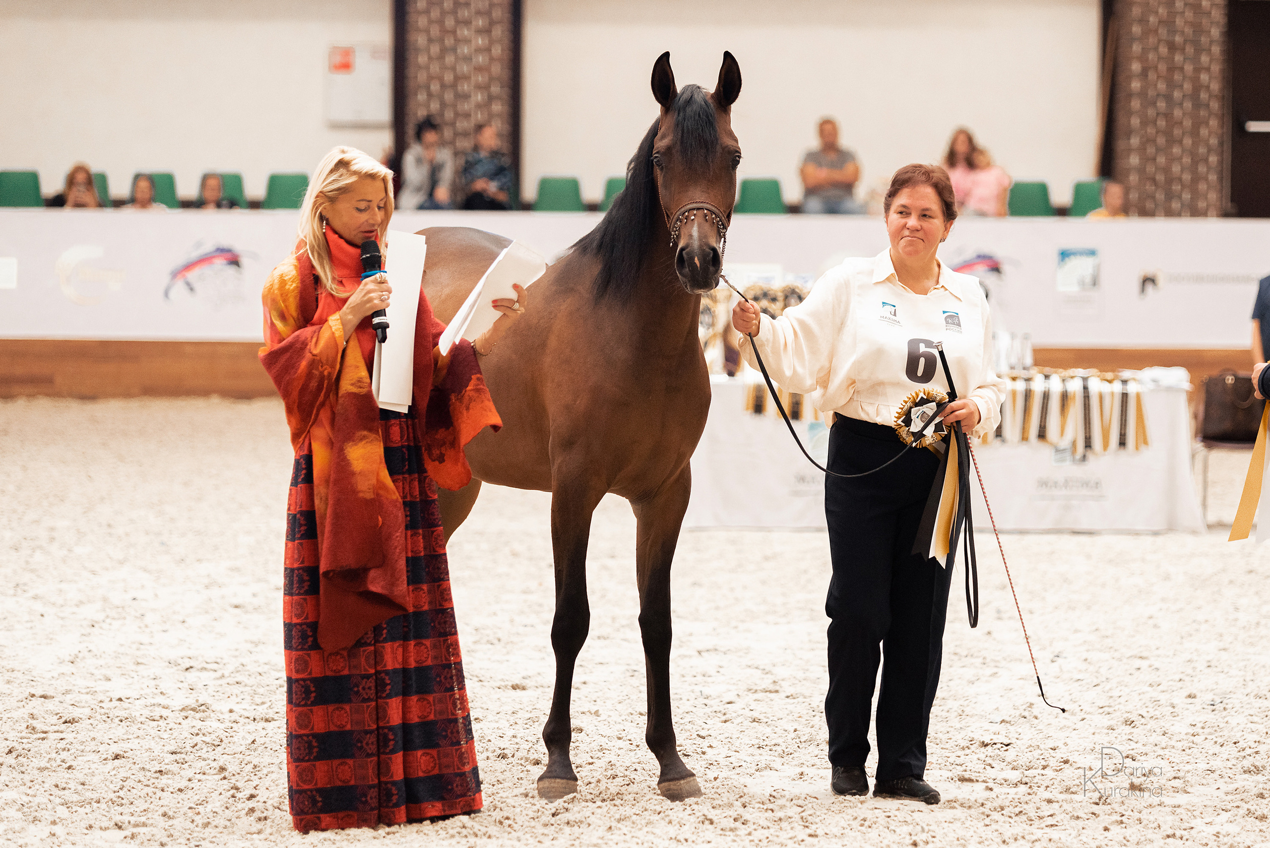 Конная Россия 2021. Конный фотограф Куракина Дарья • Фотосессии с лошадьми