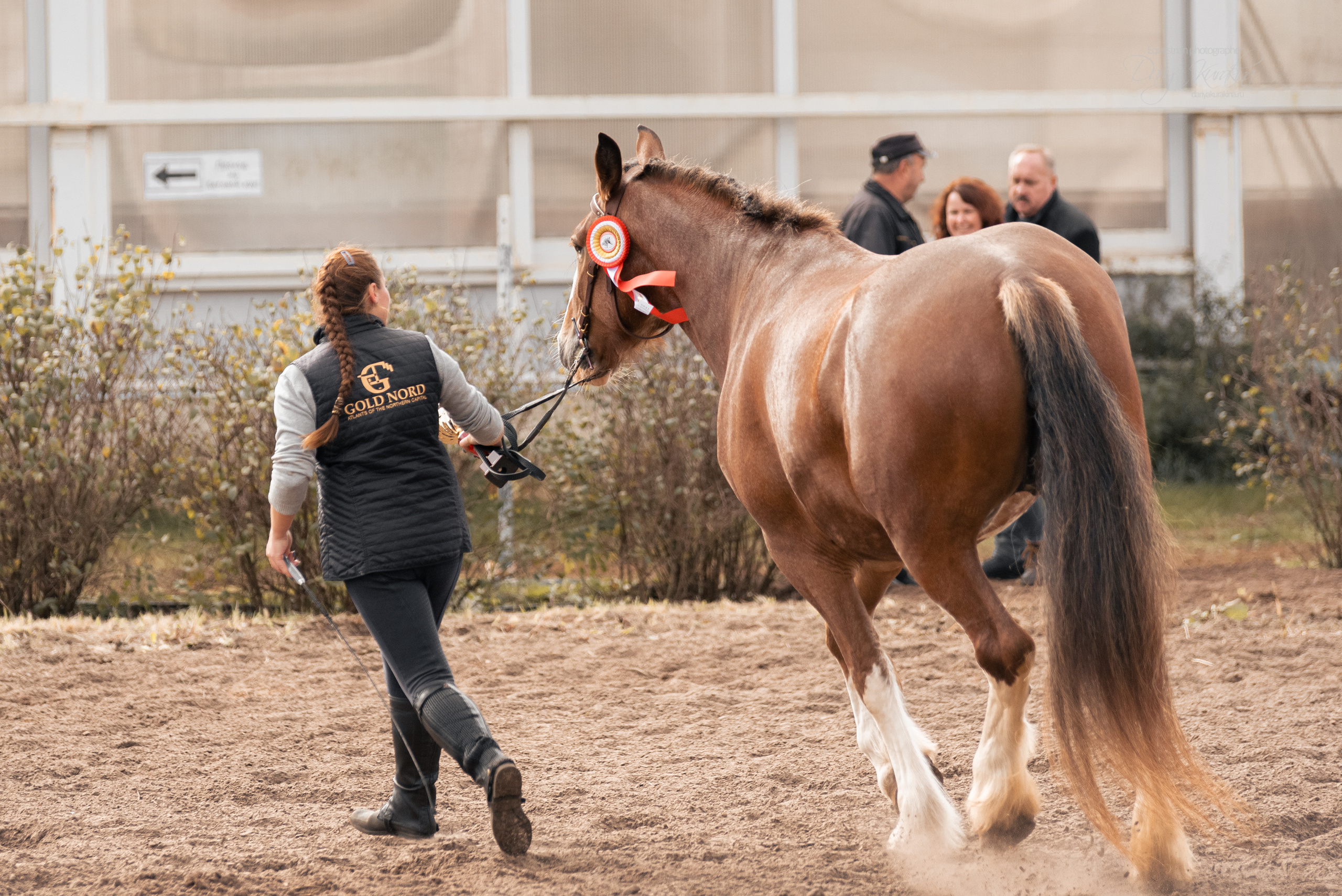 Богдарня. Конный фотограф Куракина Дарья • Фотосессии с лошадьми