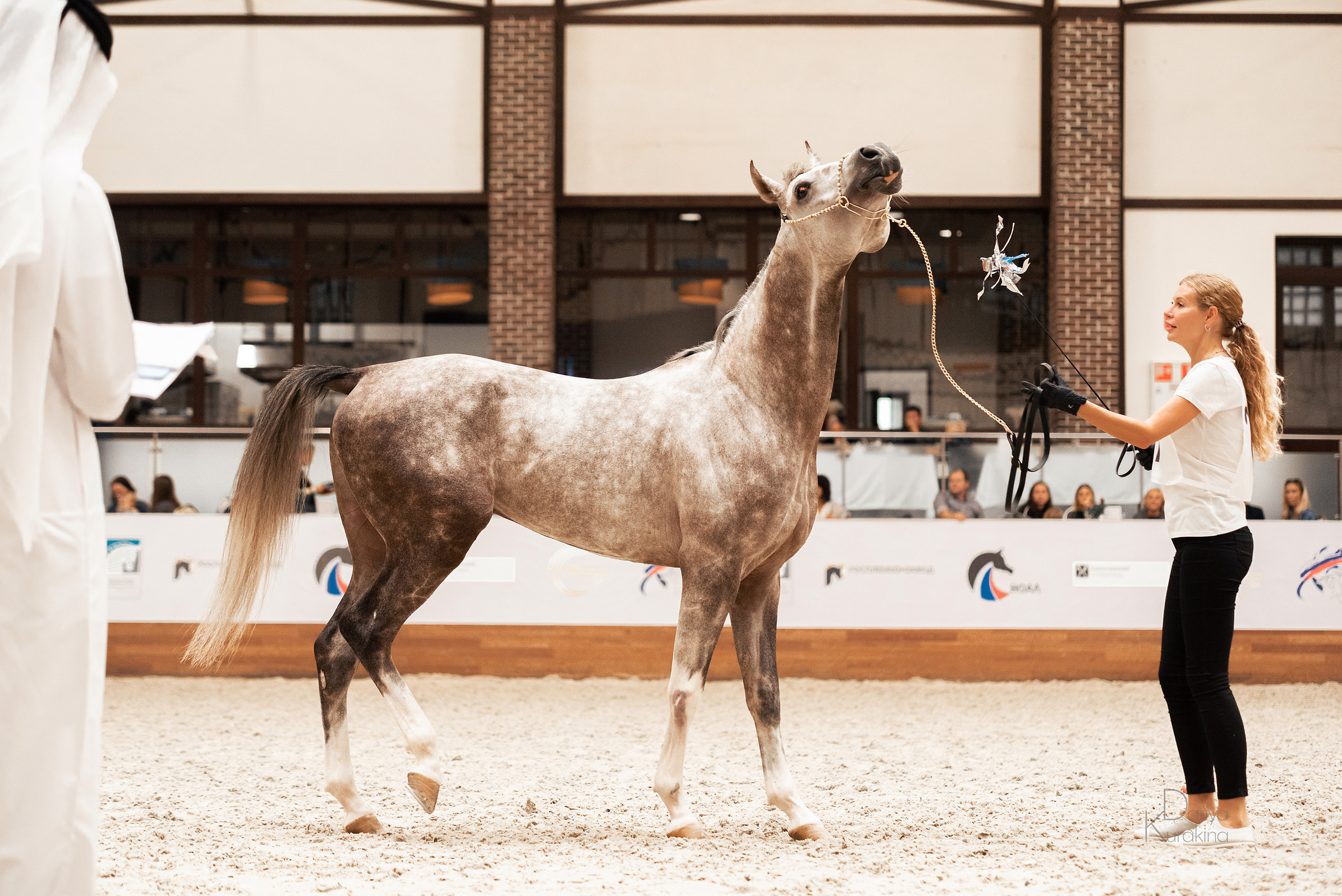 Конная Россия 2021. Конный фотограф Куракина Дарья • Фотосессии с лошадьми