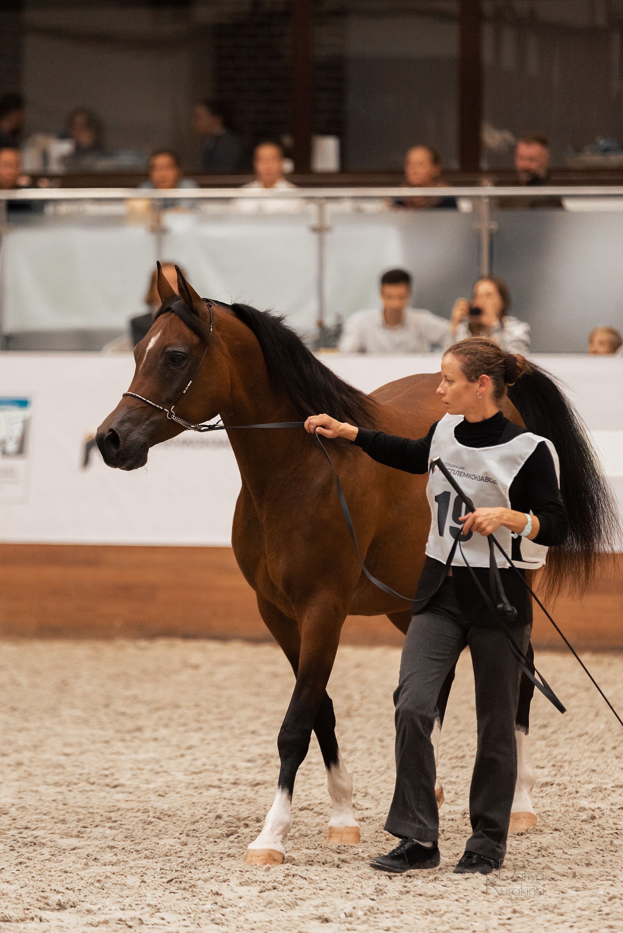 Конная Россия 2021. Конный фотограф Куракина Дарья • Фотосессии с лошадьми