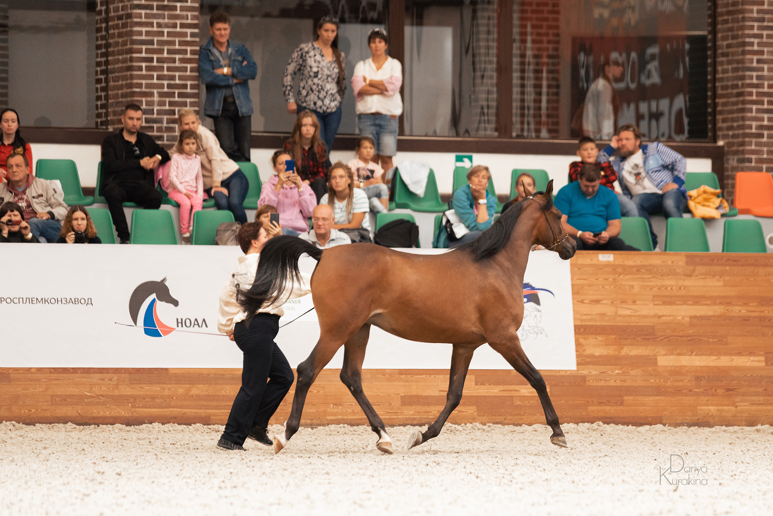 Конная Россия 2021. Конный фотограф Куракина Дарья • Фотосессии с лошадьми