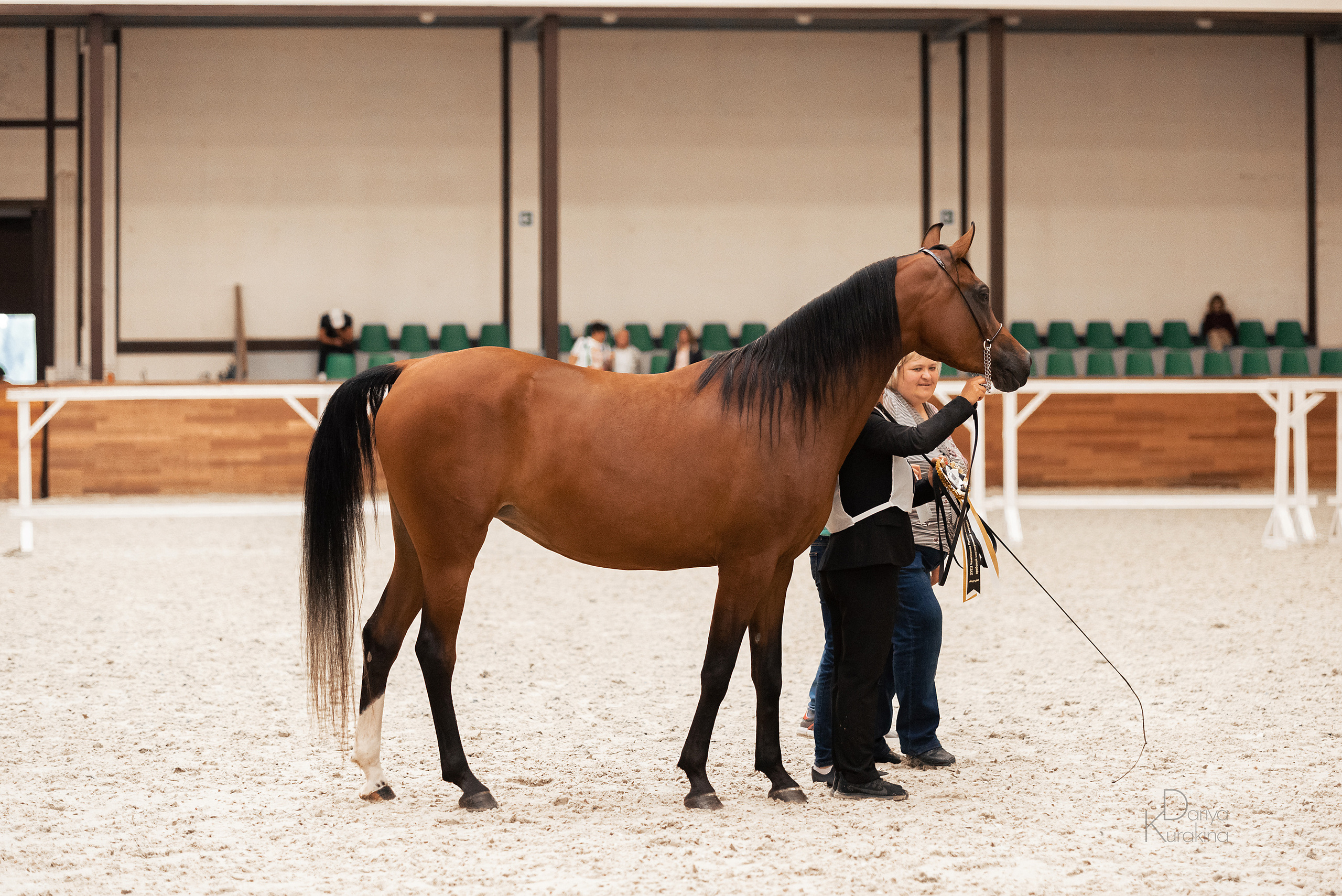 Конная Россия 2021. Конный фотограф Куракина Дарья • Фотосессии с лошадьми