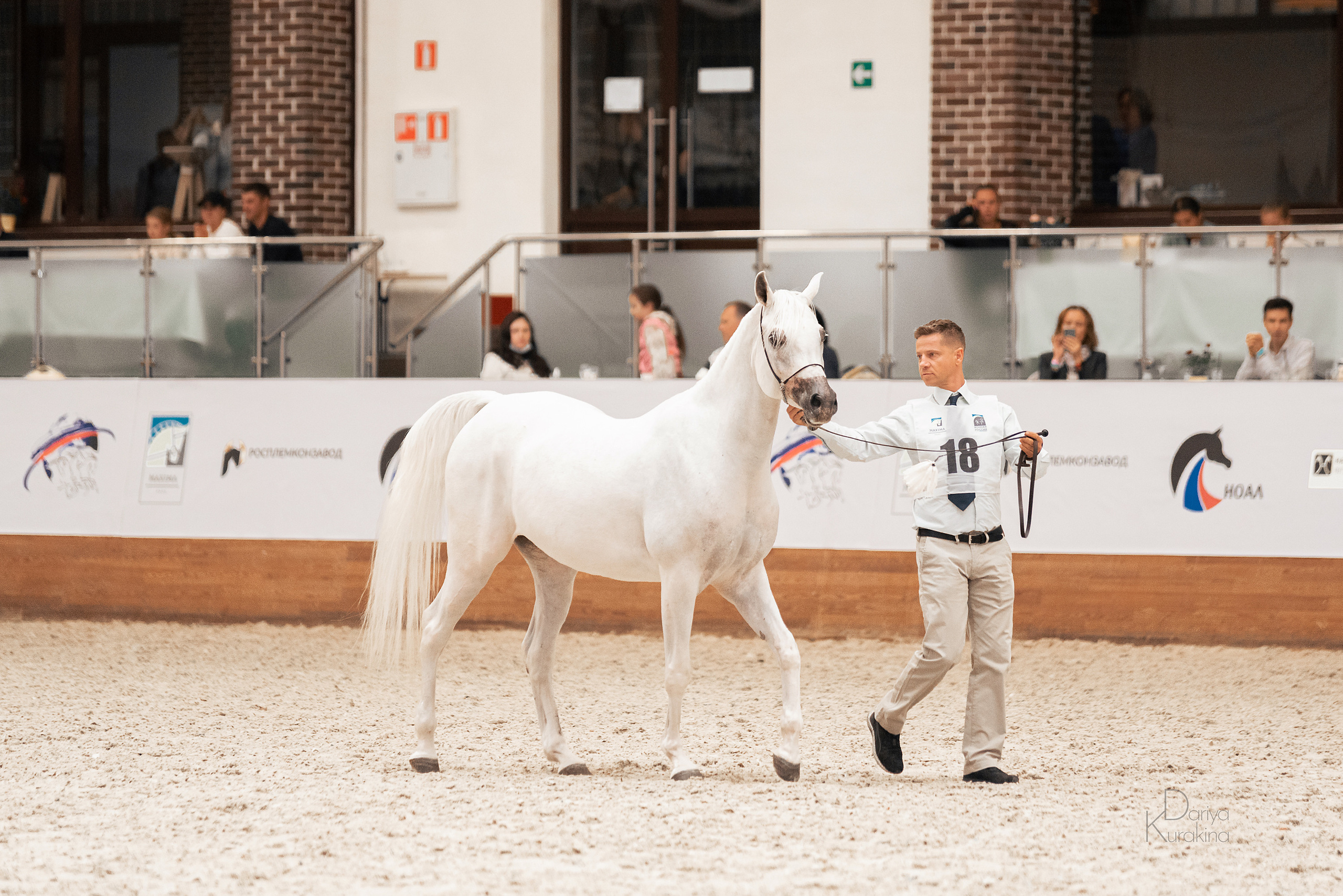 Конная Россия 2021. Конный фотограф Куракина Дарья • Фотосессии с лошадьми