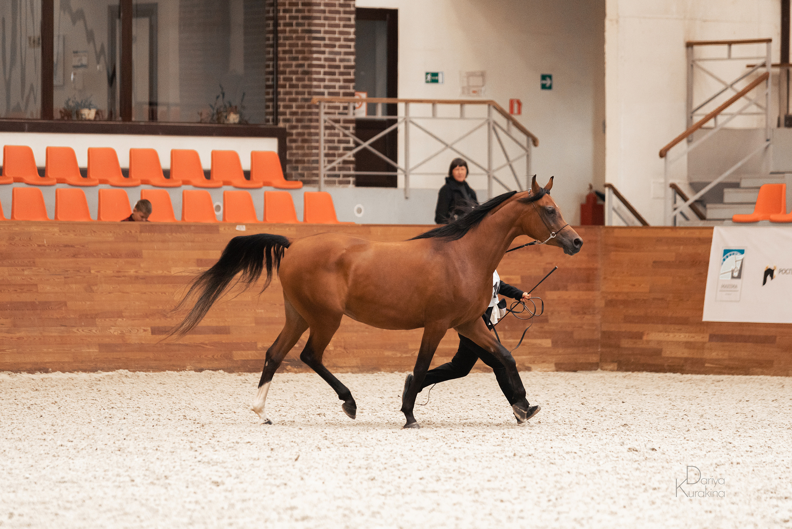 Конная Россия 2021. Конный фотограф Куракина Дарья • Фотосессии с лошадьми