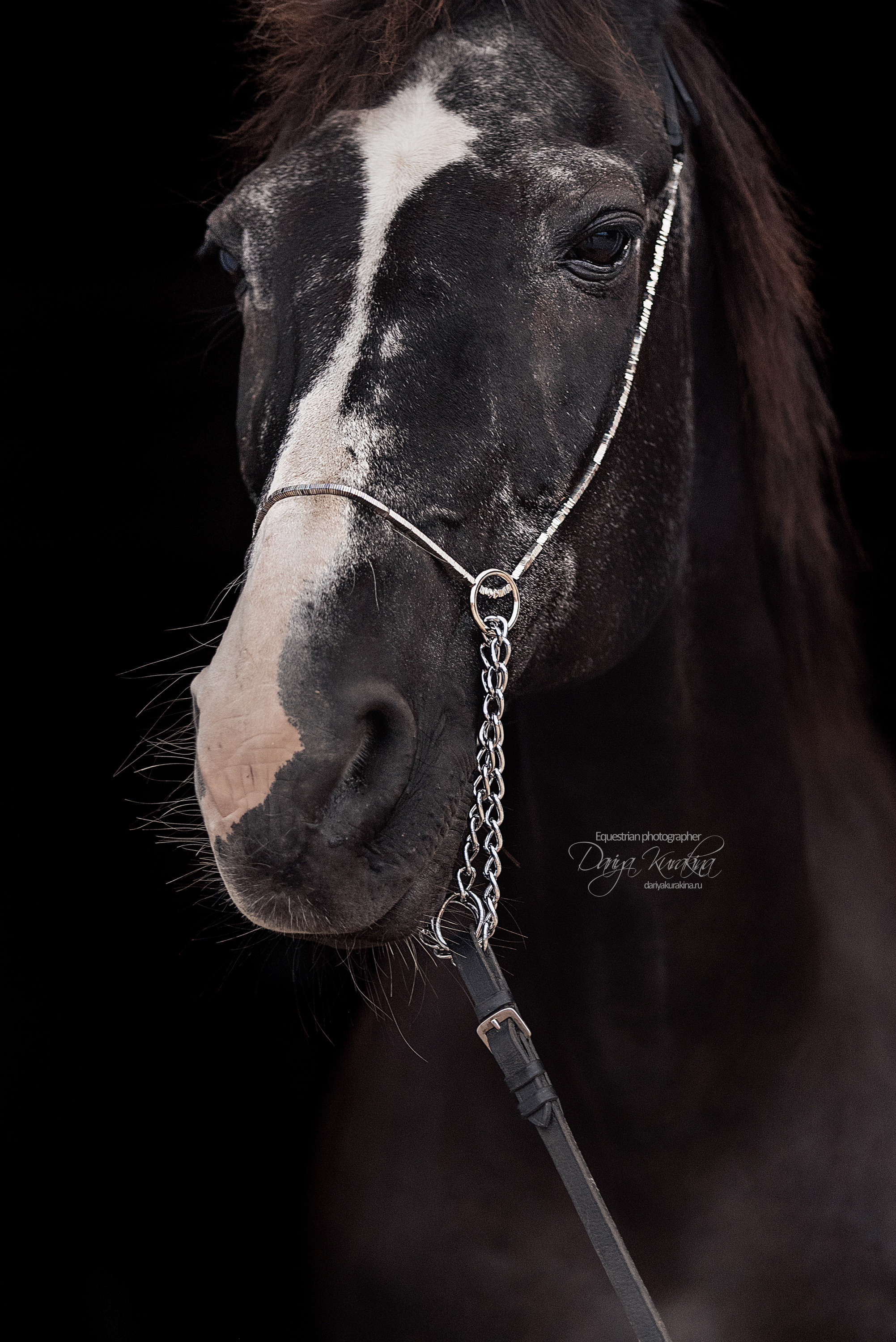 Дед Нарцисс. Конный фотограф Куракина Дарья • Фотосессии с лошадьми