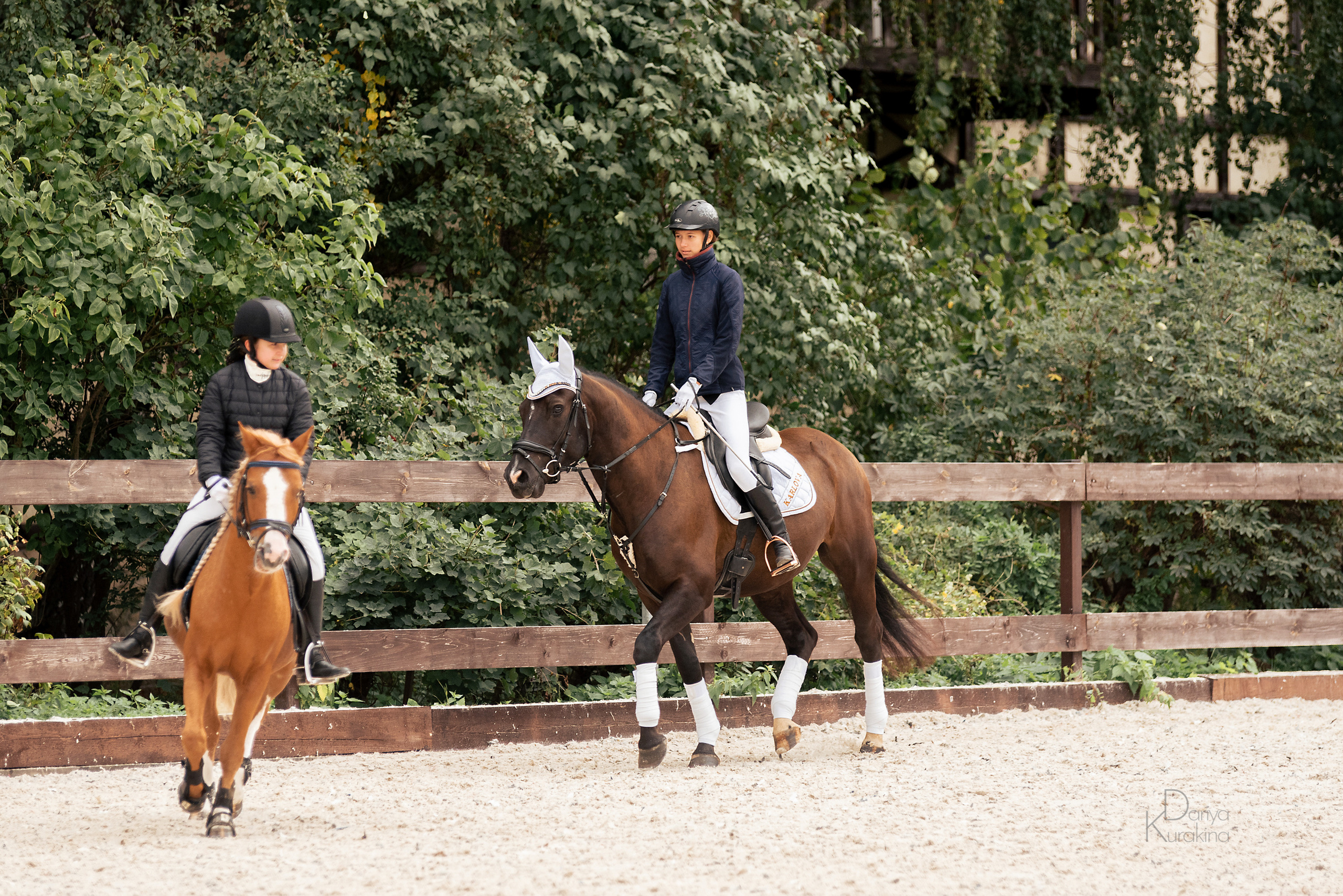 КСК Белая Дача, конкур. Конный фотограф Куракина Дарья • Фотосессии с лошадьми