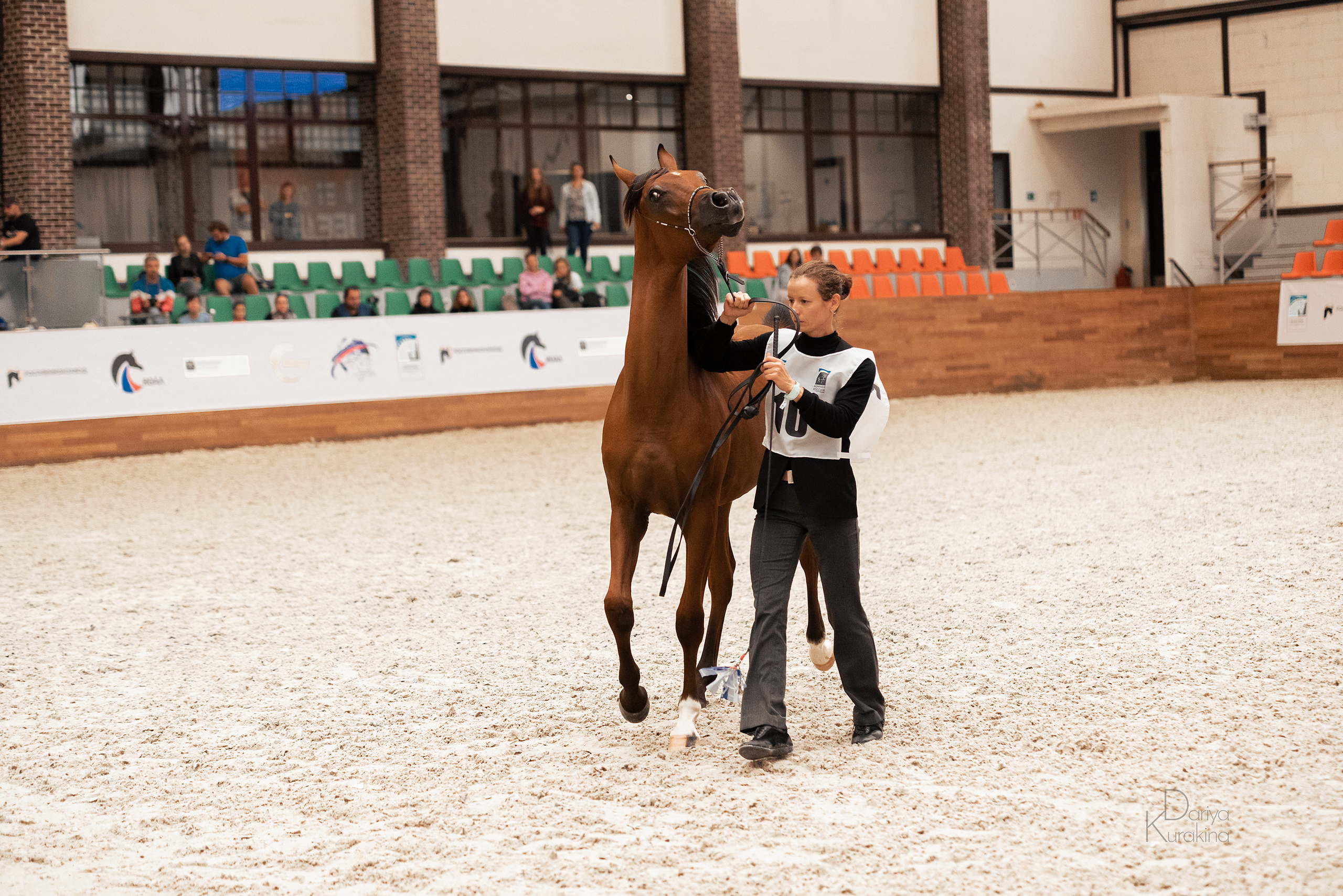Конная Россия 2021. Конный фотограф Куракина Дарья • Фотосессии с лошадьми