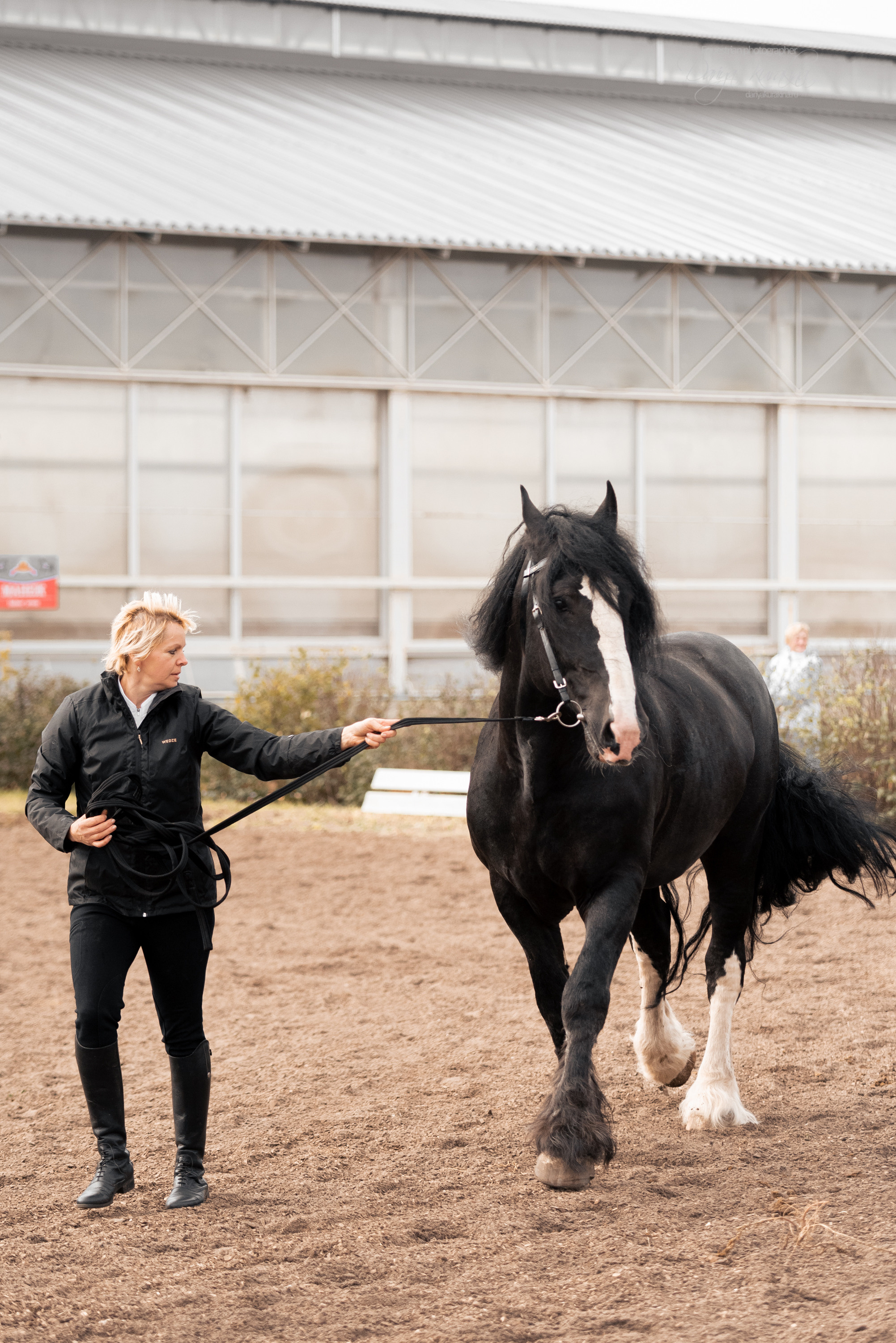Богдарня. Конный фотограф Куракина Дарья • Фотосессии с лошадьми