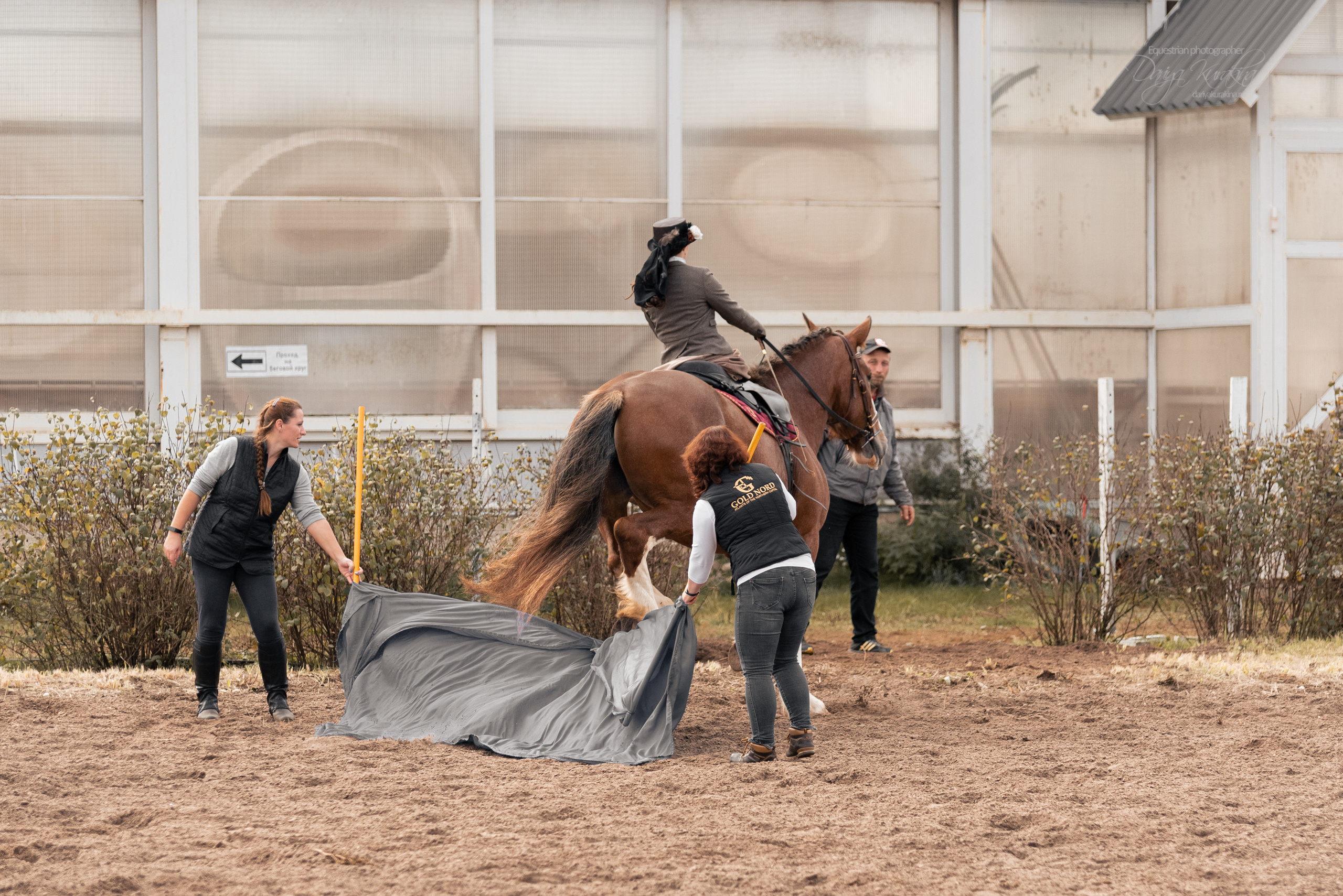 Богдарня. Конный фотограф Куракина Дарья • Фотосессии с лошадьми