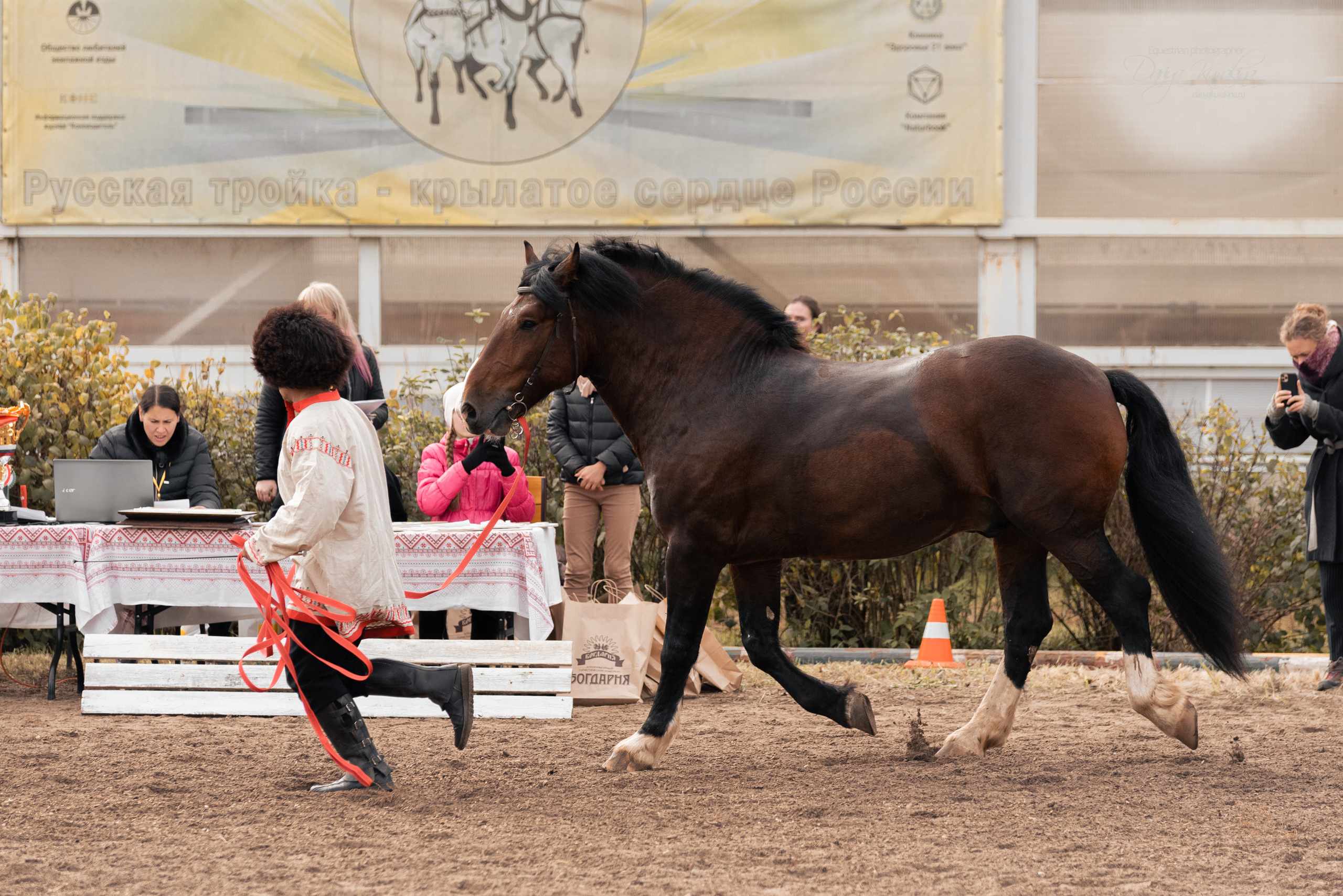 Богдарня. Конный фотограф Куракина Дарья • Фотосессии с лошадьми
