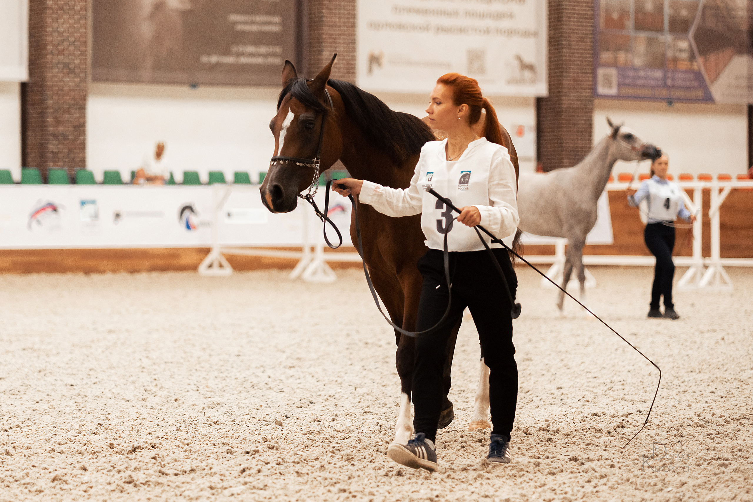 Конная Россия 2021. Конный фотограф Куракина Дарья • Фотосессии с лошадьми