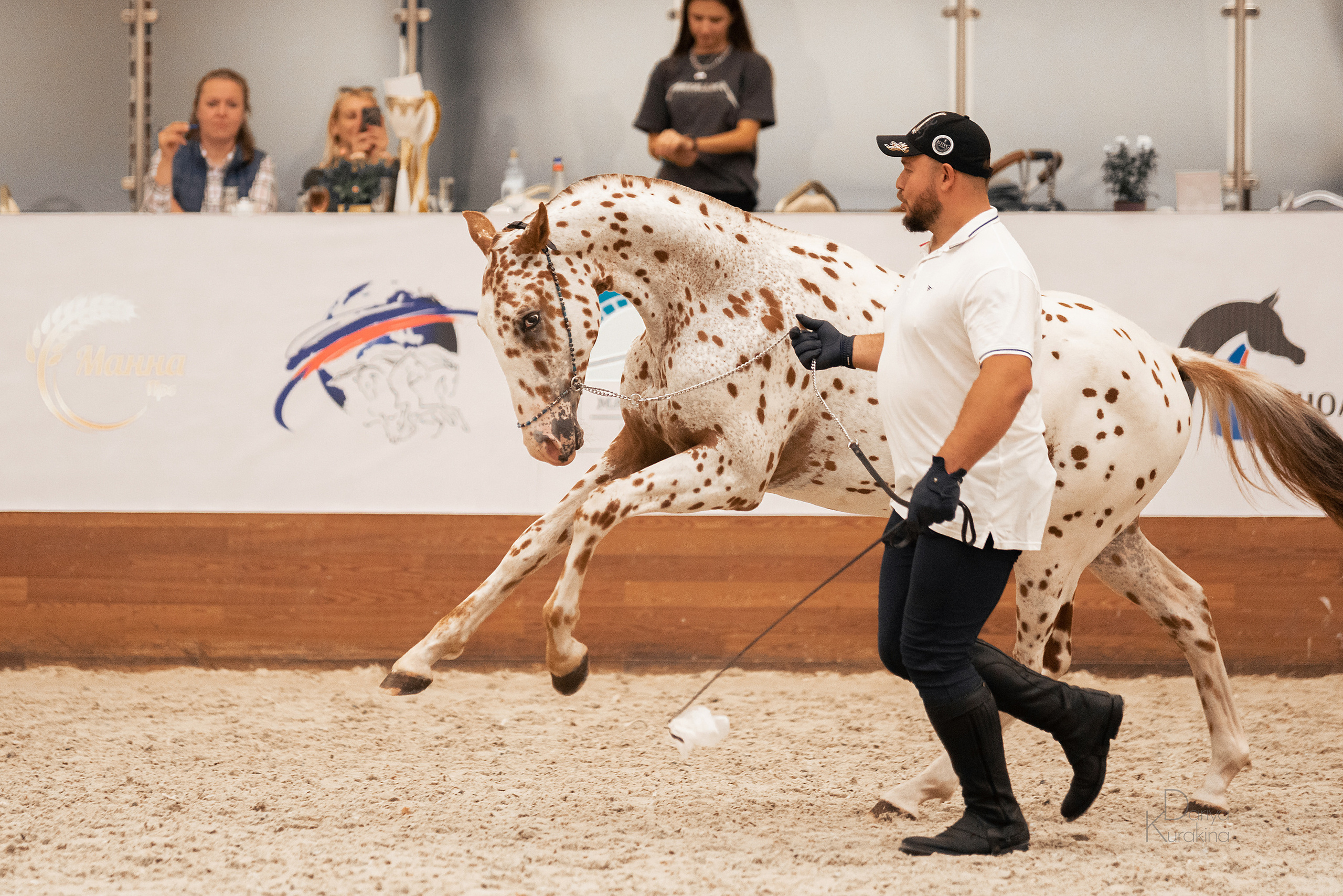 Конная Россия 2021. Конный фотограф Куракина Дарья • Фотосессии с лошадьми
