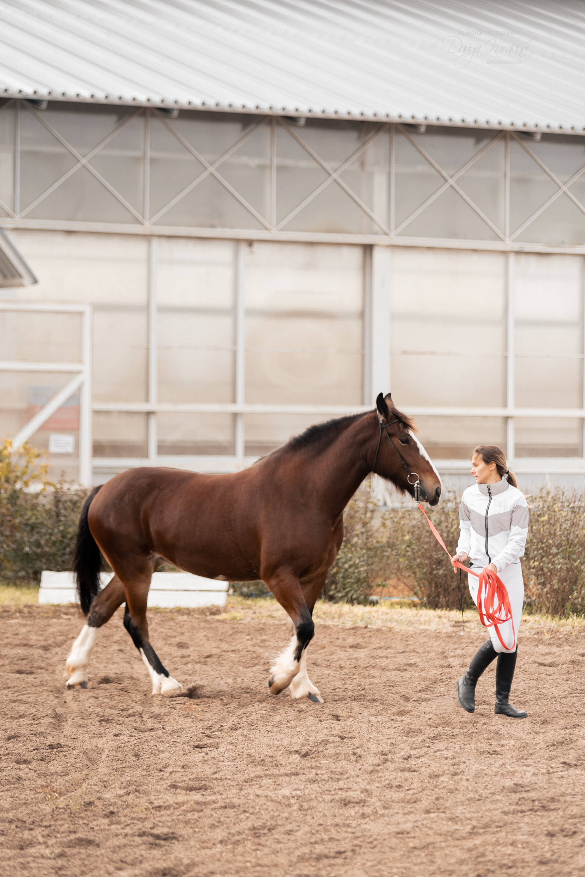 Богдарня. Конный фотограф Куракина Дарья • Фотосессии с лошадьми