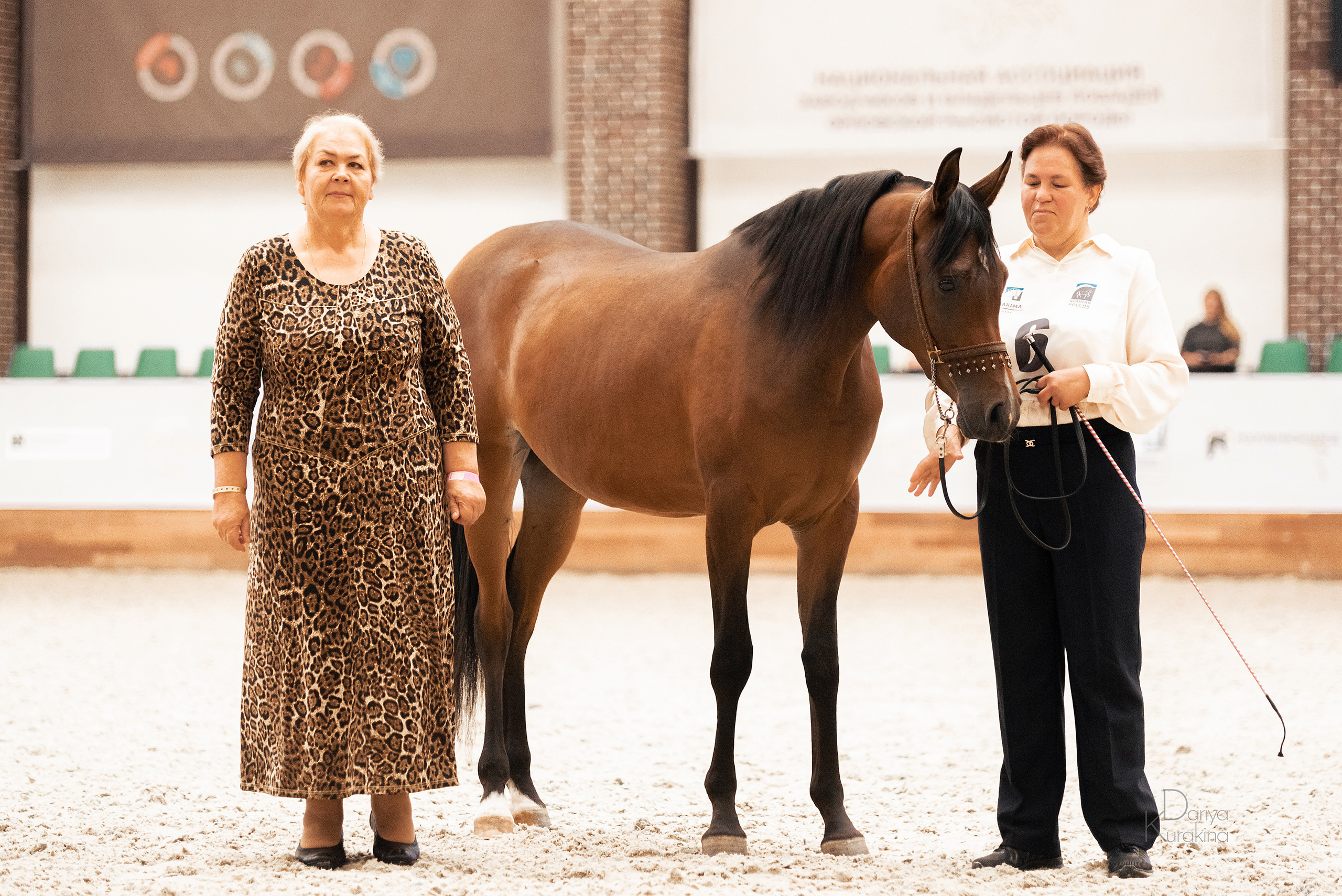Конная Россия 2021. Конный фотограф Куракина Дарья • Фотосессии с лошадьми