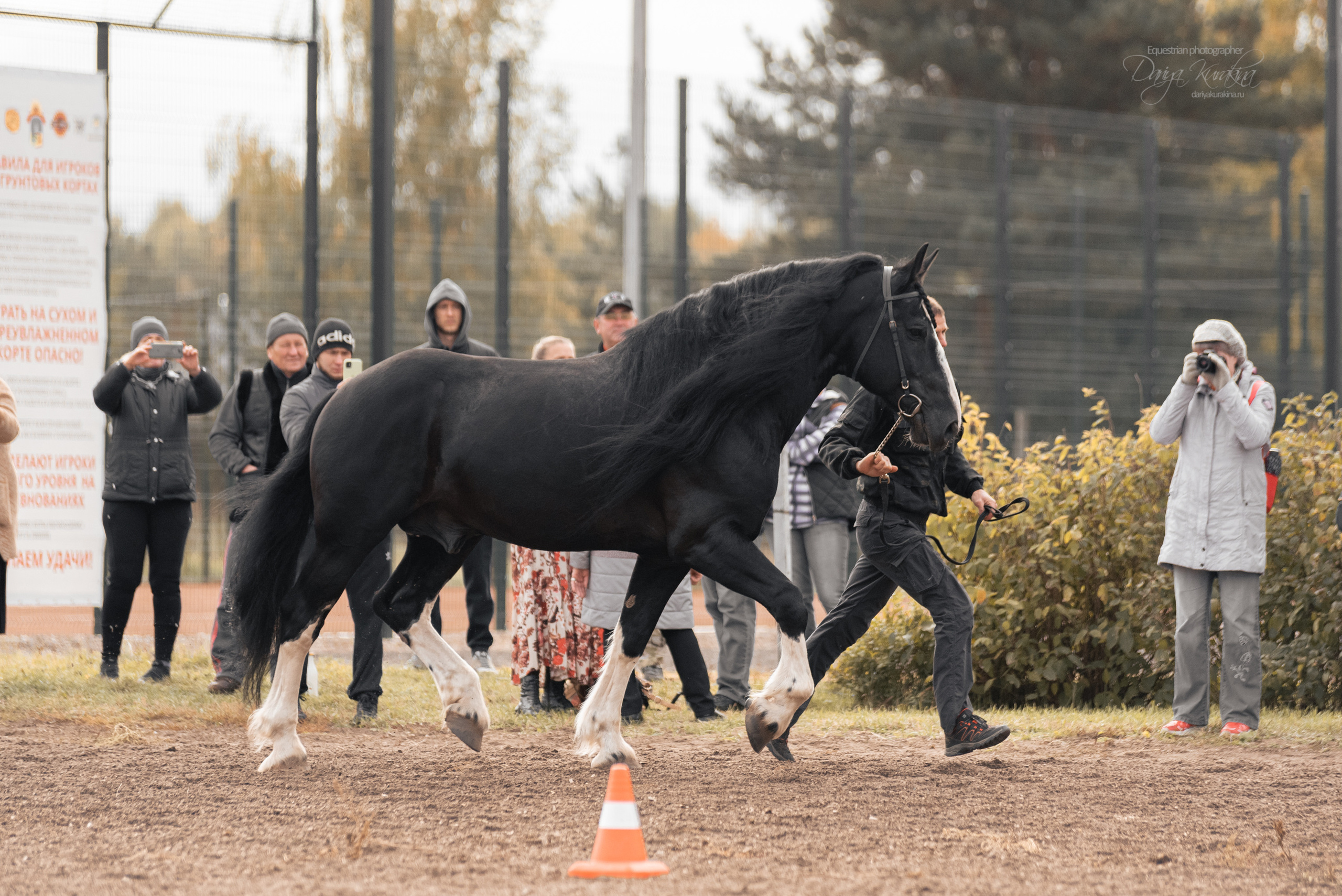 Богдарня. Конный фотограф Куракина Дарья • Фотосессии с лошадьми
