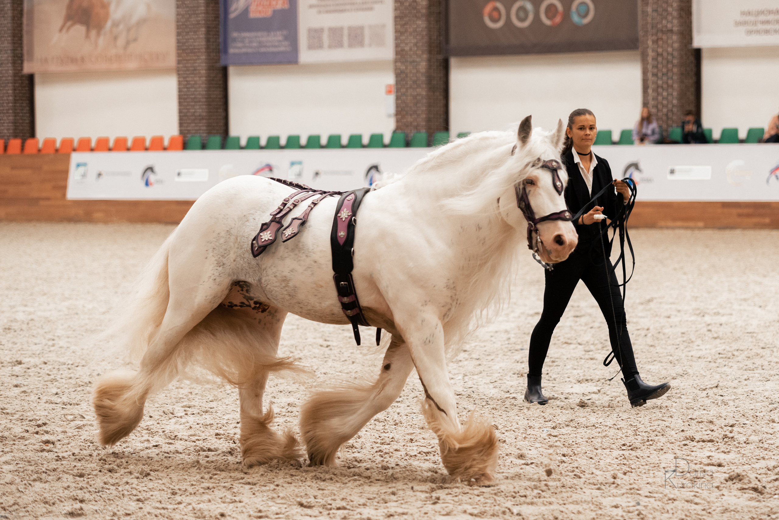 Конная Россия 2021. Конный фотограф Куракина Дарья • Фотосессии с лошадьми