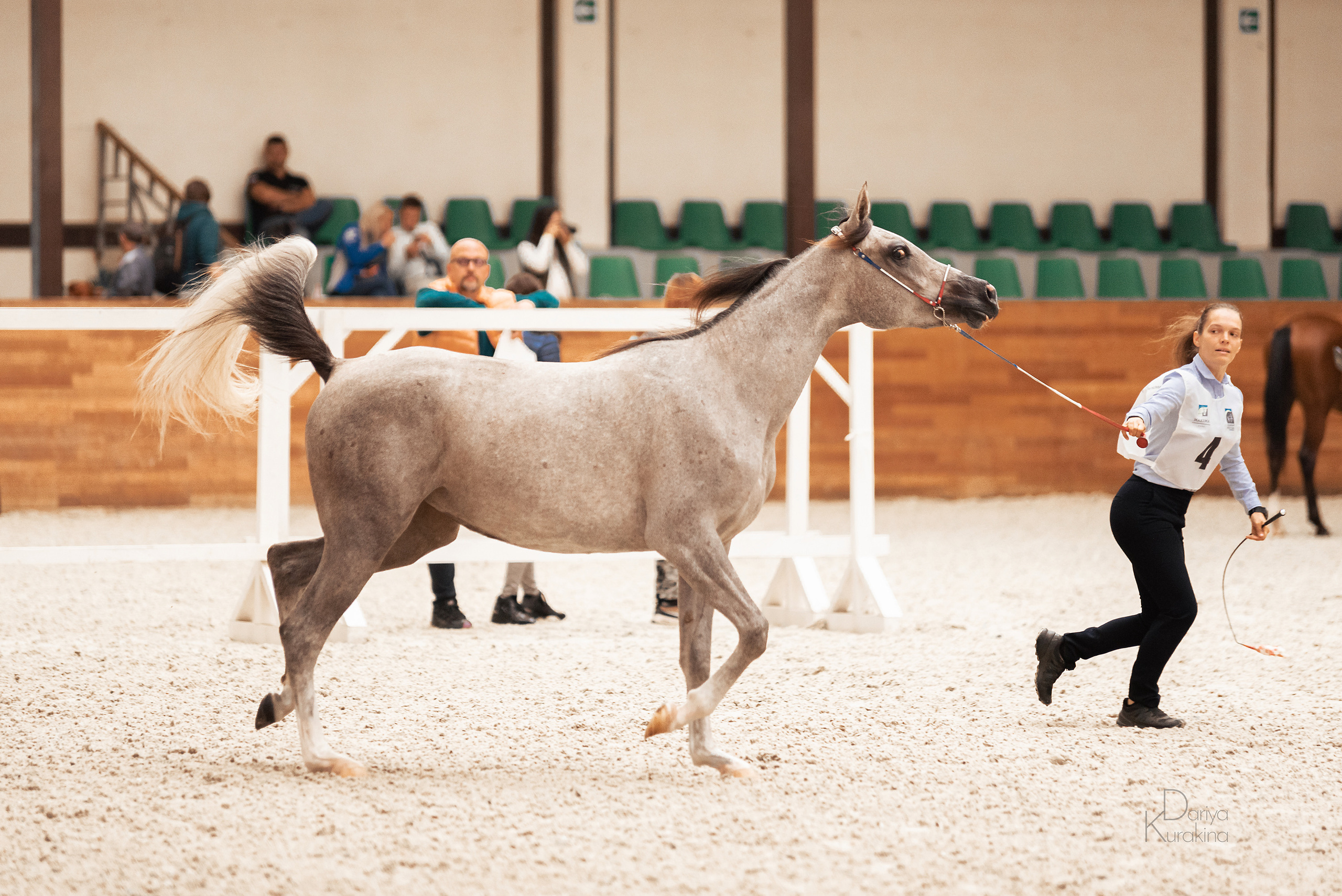 Конная Россия 2021. Конный фотограф Куракина Дарья • Фотосессии с лошадьми