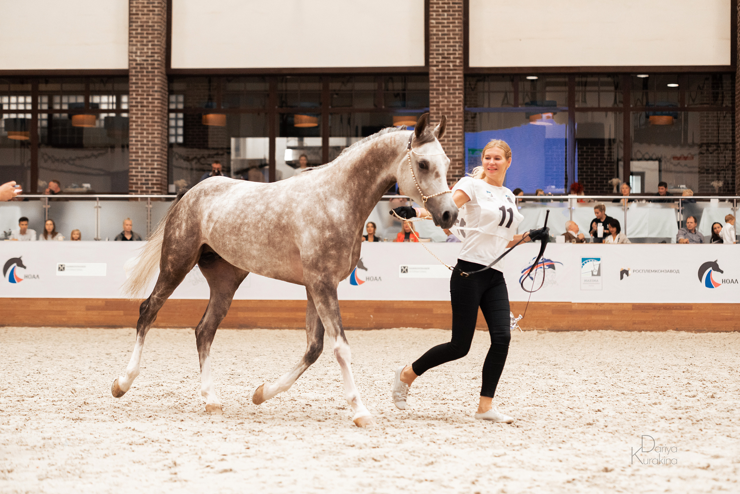 Конная Россия 2021. Конный фотограф Куракина Дарья • Фотосессии с лошадьми