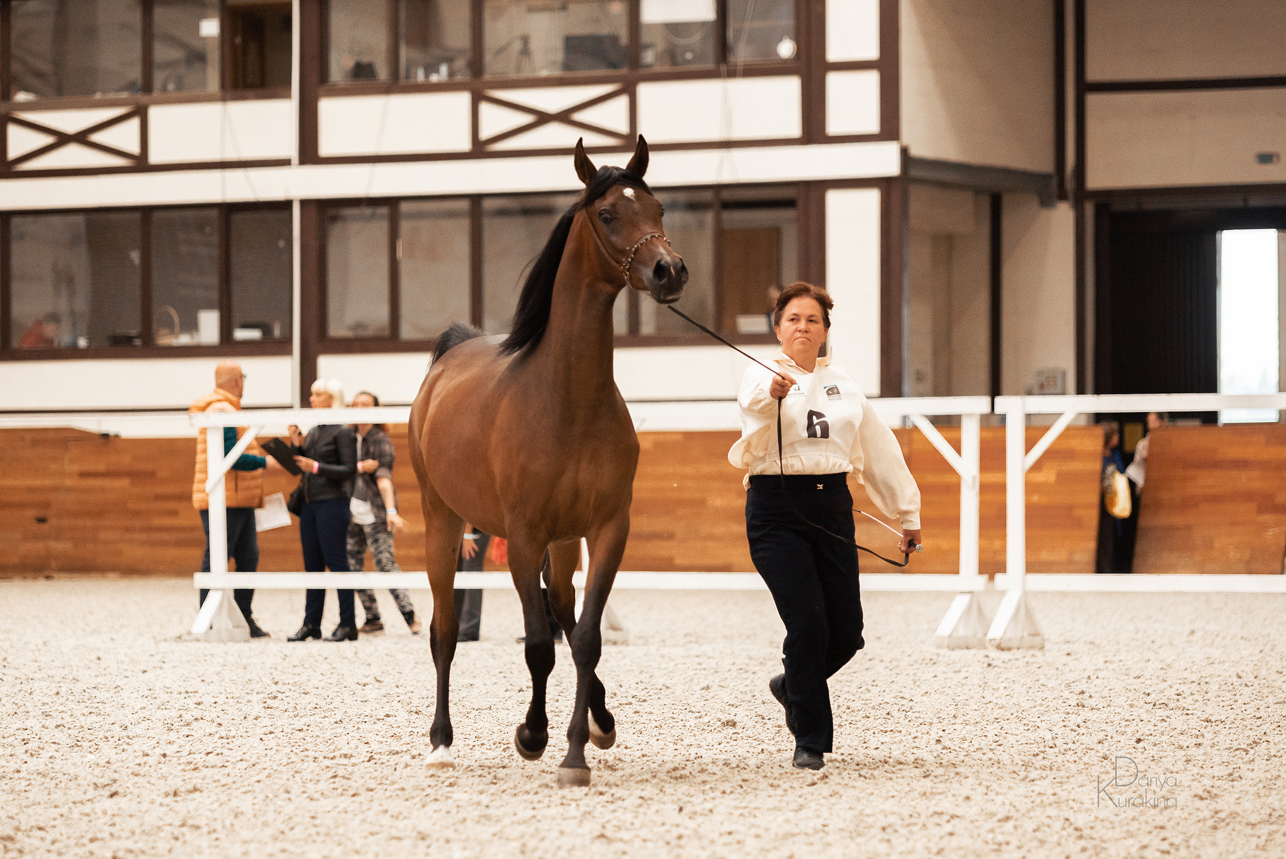 Конная Россия 2021. Конный фотограф Куракина Дарья • Фотосессии с лошадьми