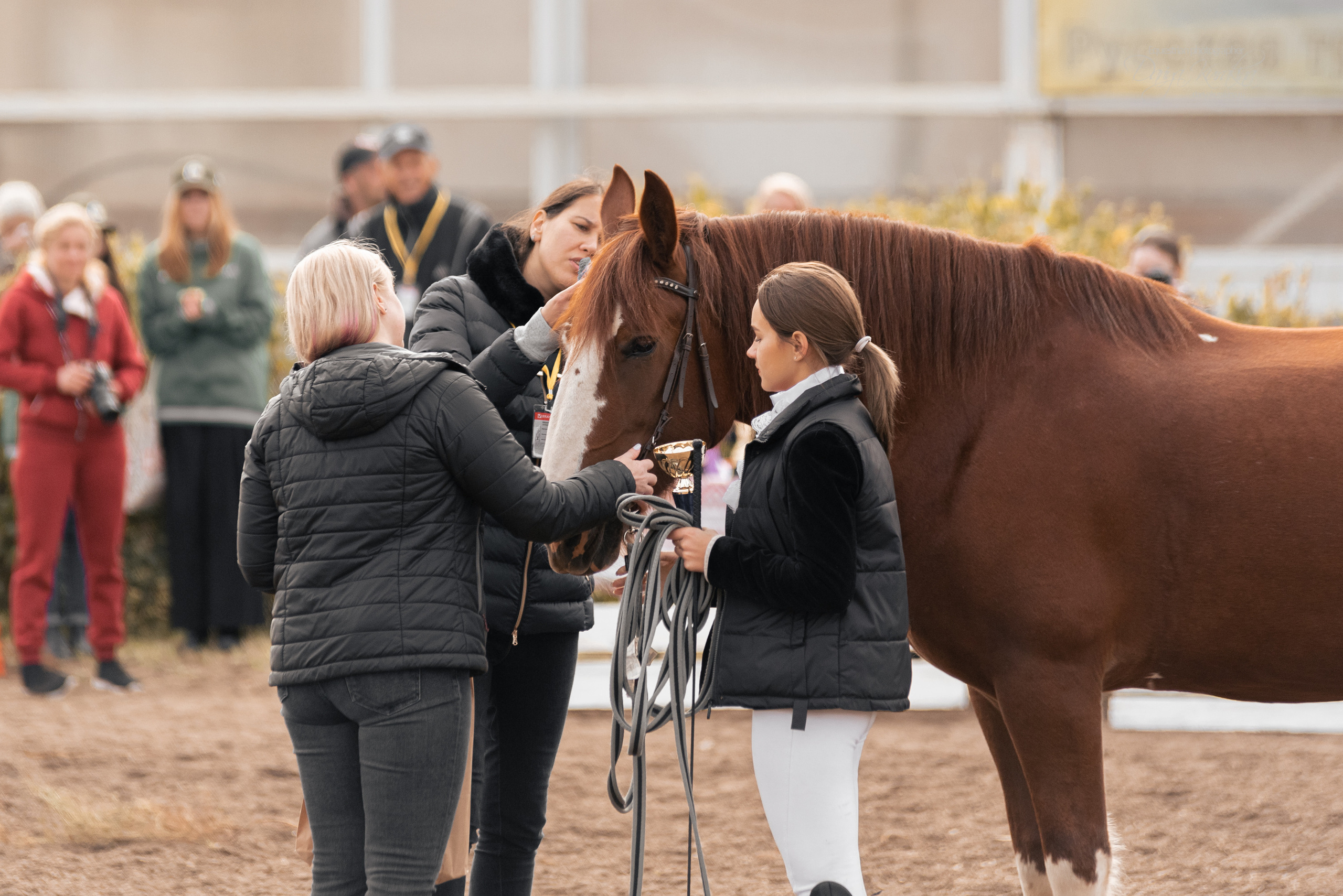 Богдарня. Конный фотограф Куракина Дарья • Фотосессии с лошадьми