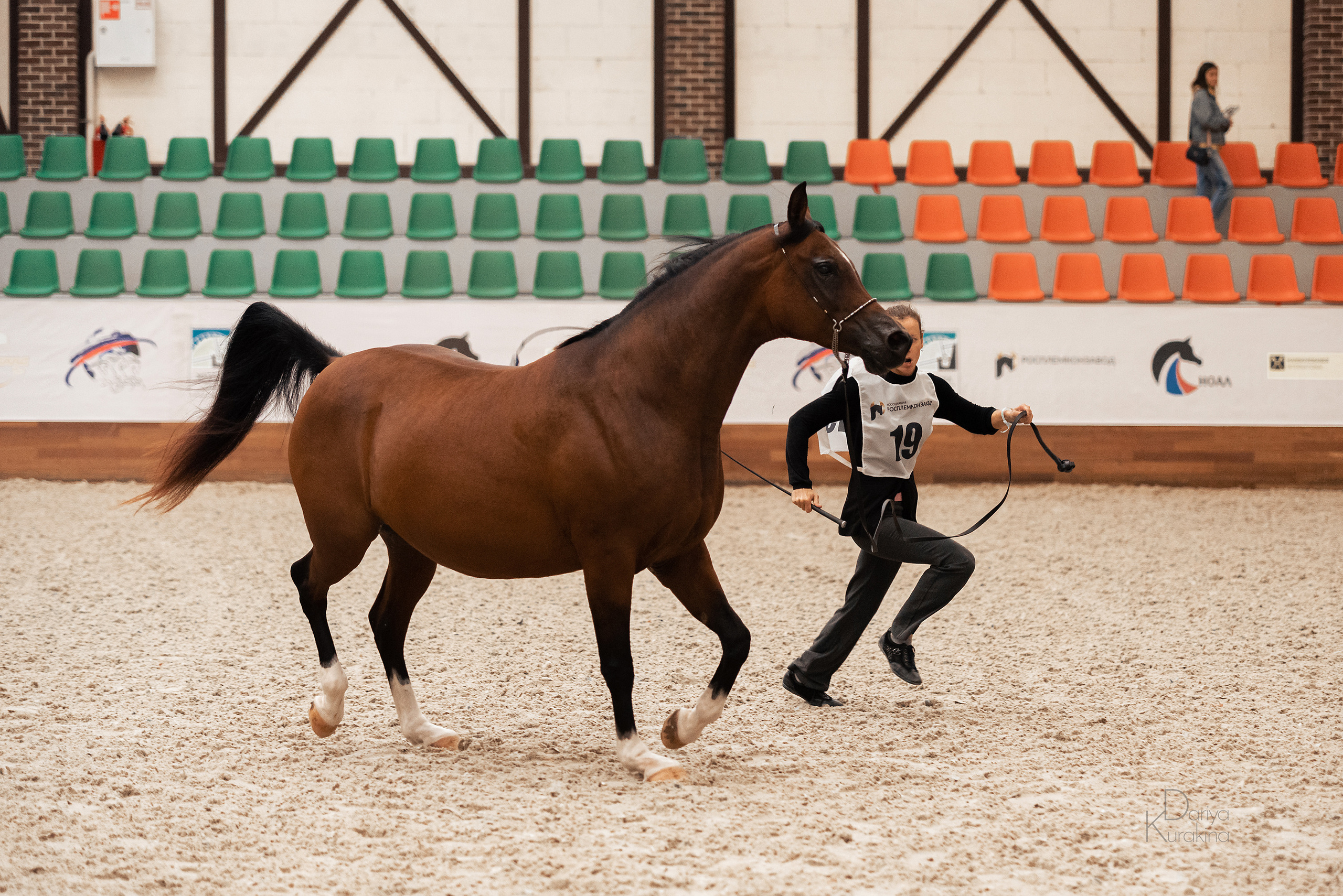 Конная Россия 2021. Конный фотограф Куракина Дарья • Фотосессии с лошадьми