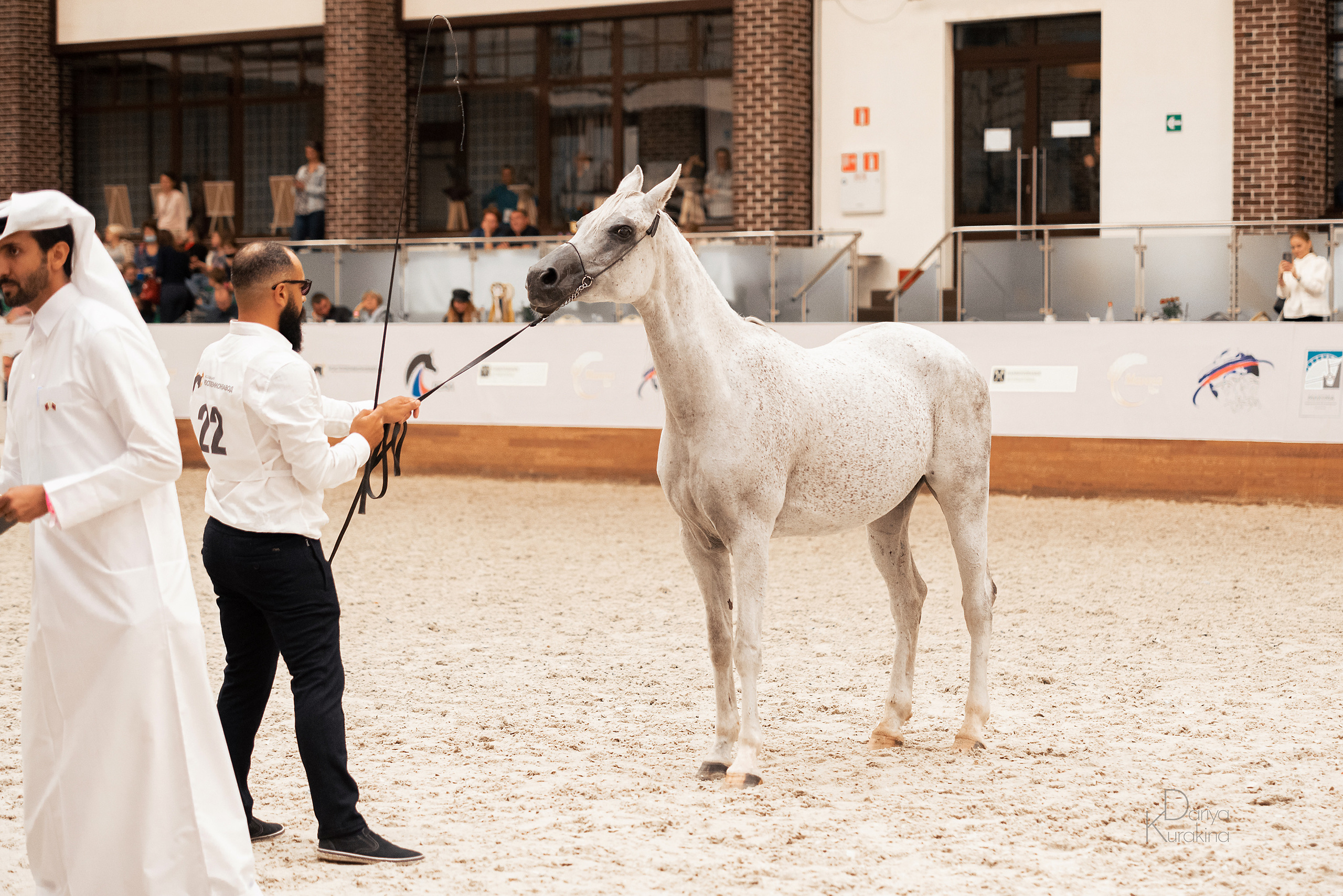 Конная Россия 2021. Конный фотограф Куракина Дарья • Фотосессии с лошадьми