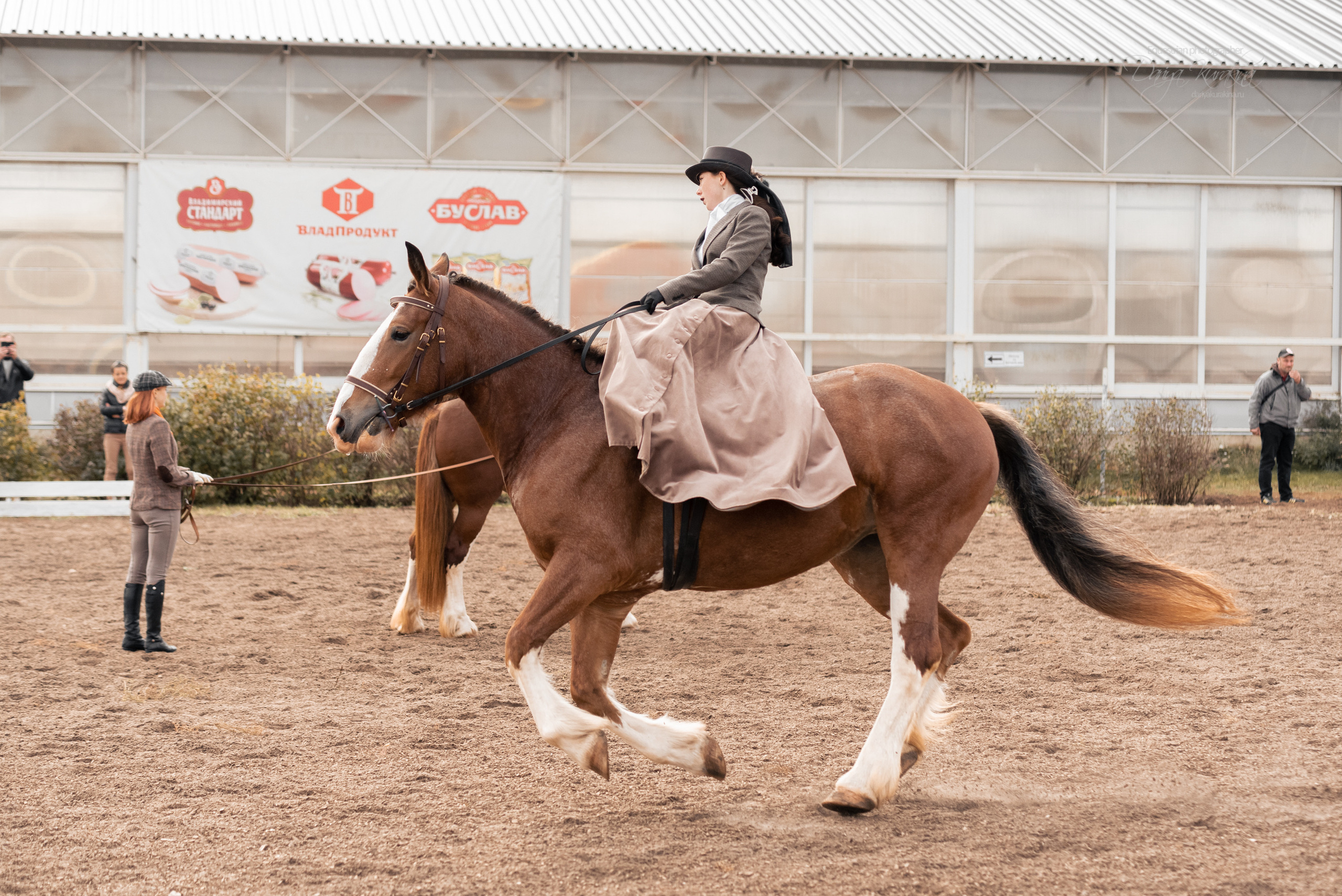 Богдарня. Конный фотограф Куракина Дарья • Фотосессии с лошадьми
