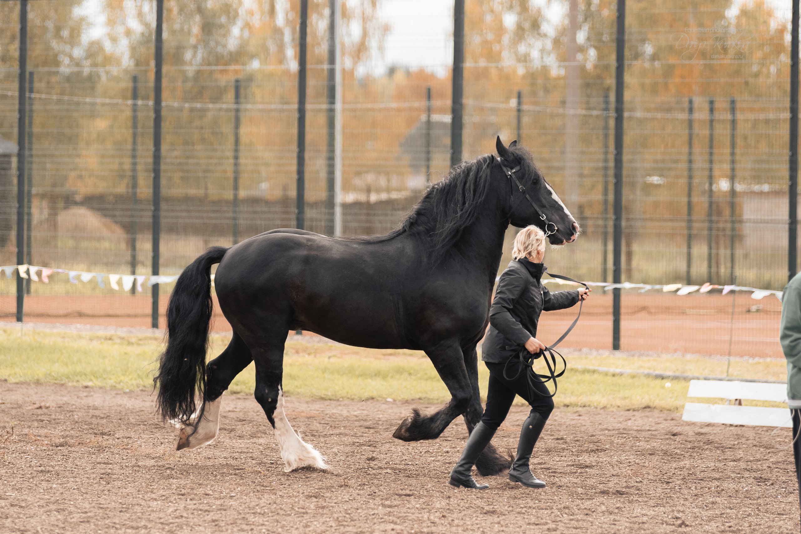 Богдарня. Конный фотограф Куракина Дарья • Фотосессии с лошадьми