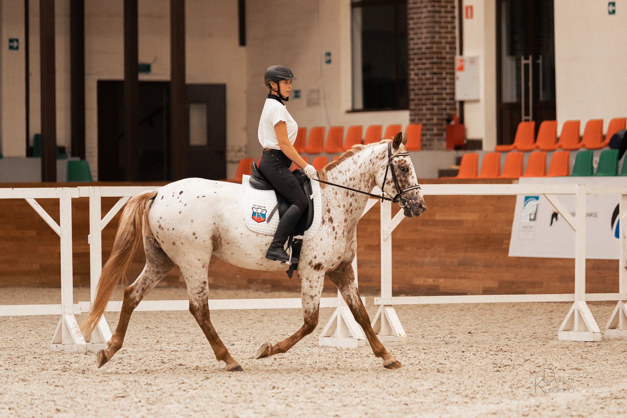 Конная Россия 2021. Конный фотограф Куракина Дарья • Фотосессии с лошадьми