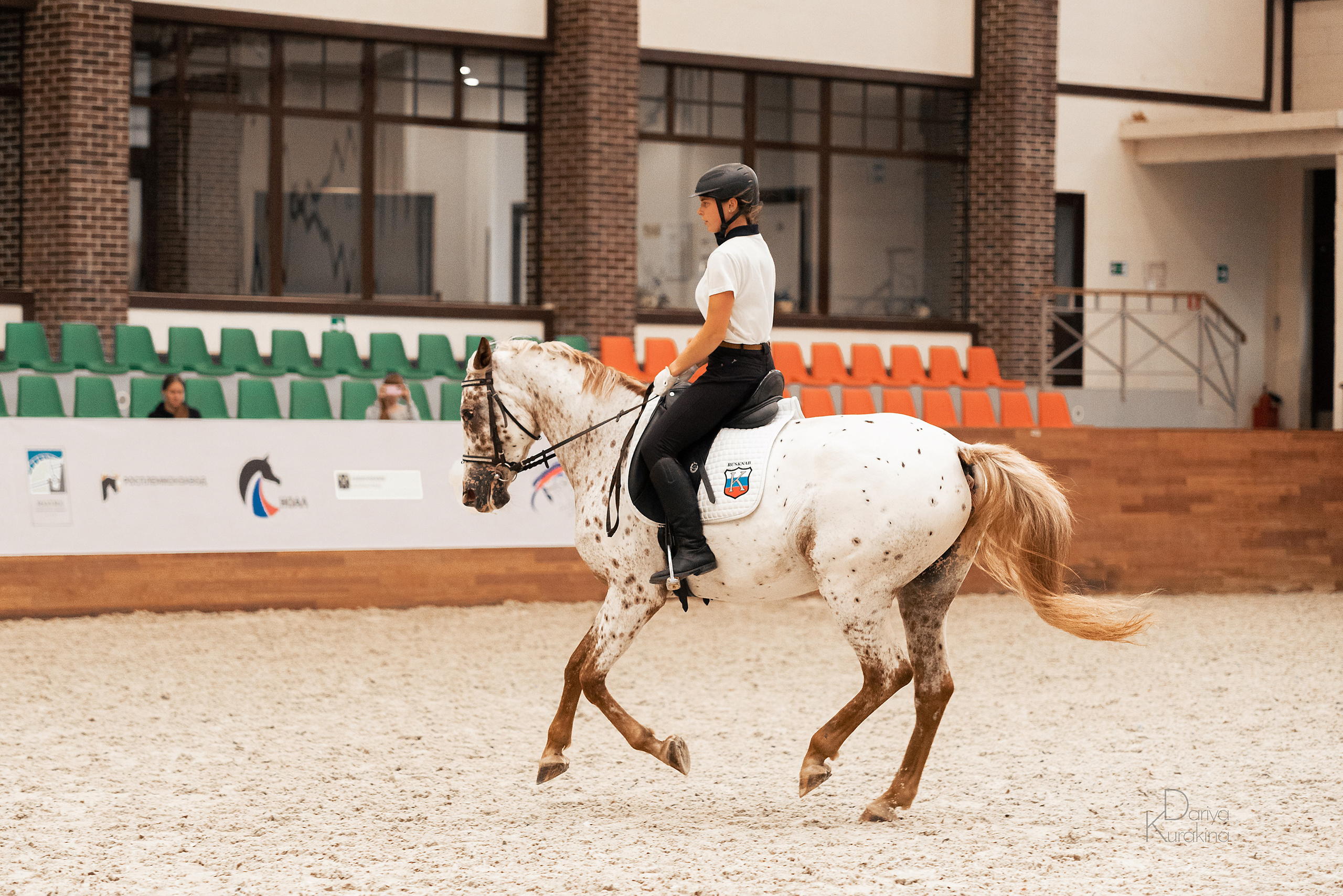 Конная Россия 2021. Конный фотограф Куракина Дарья • Фотосессии с лошадьми