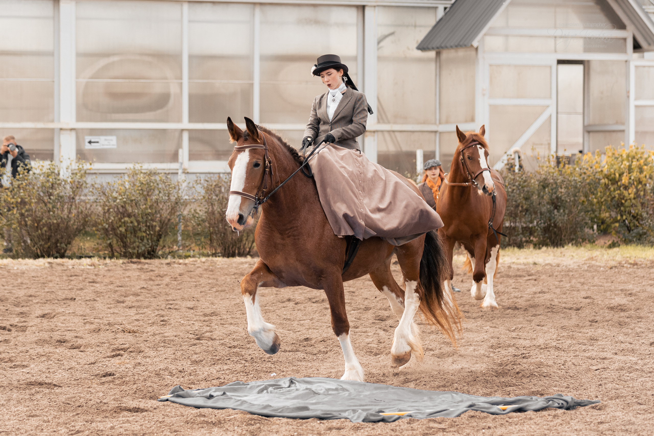 Богдарня. Конный фотограф Куракина Дарья • Фотосессии с лошадьми