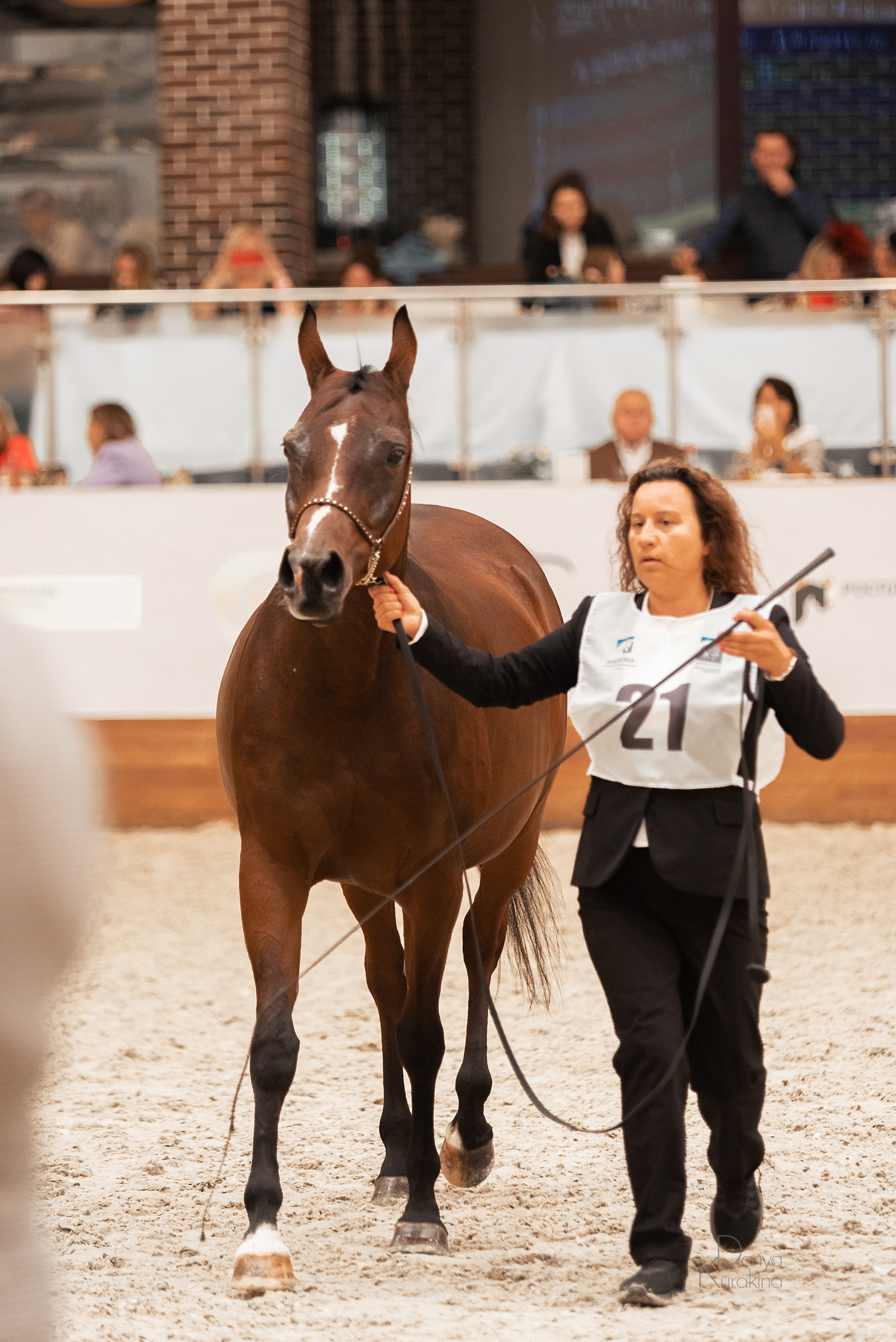 Конная Россия 2021. Конный фотограф Куракина Дарья • Фотосессии с лошадьми