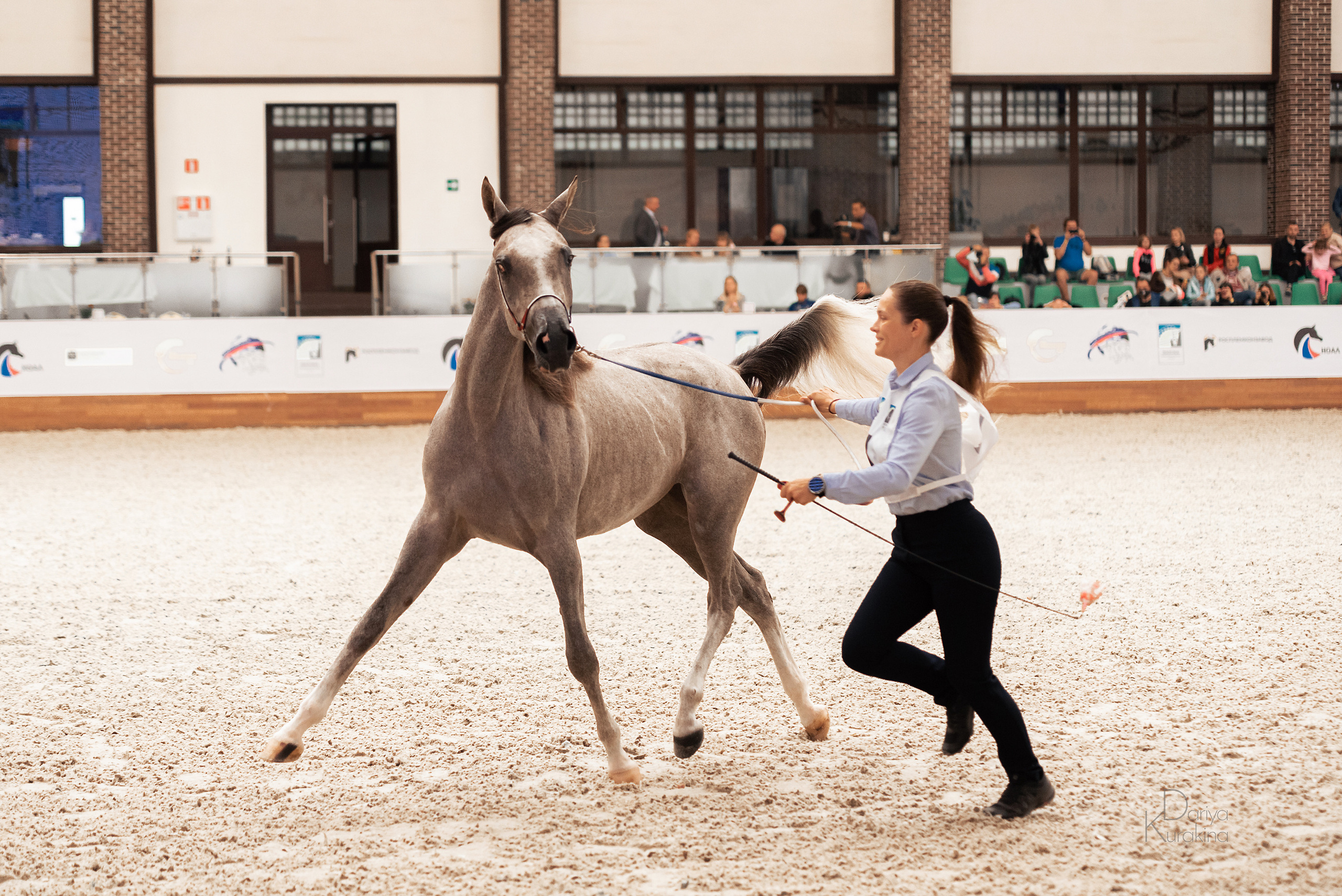 Конная Россия 2021. Конный фотограф Куракина Дарья • Фотосессии с лошадьми