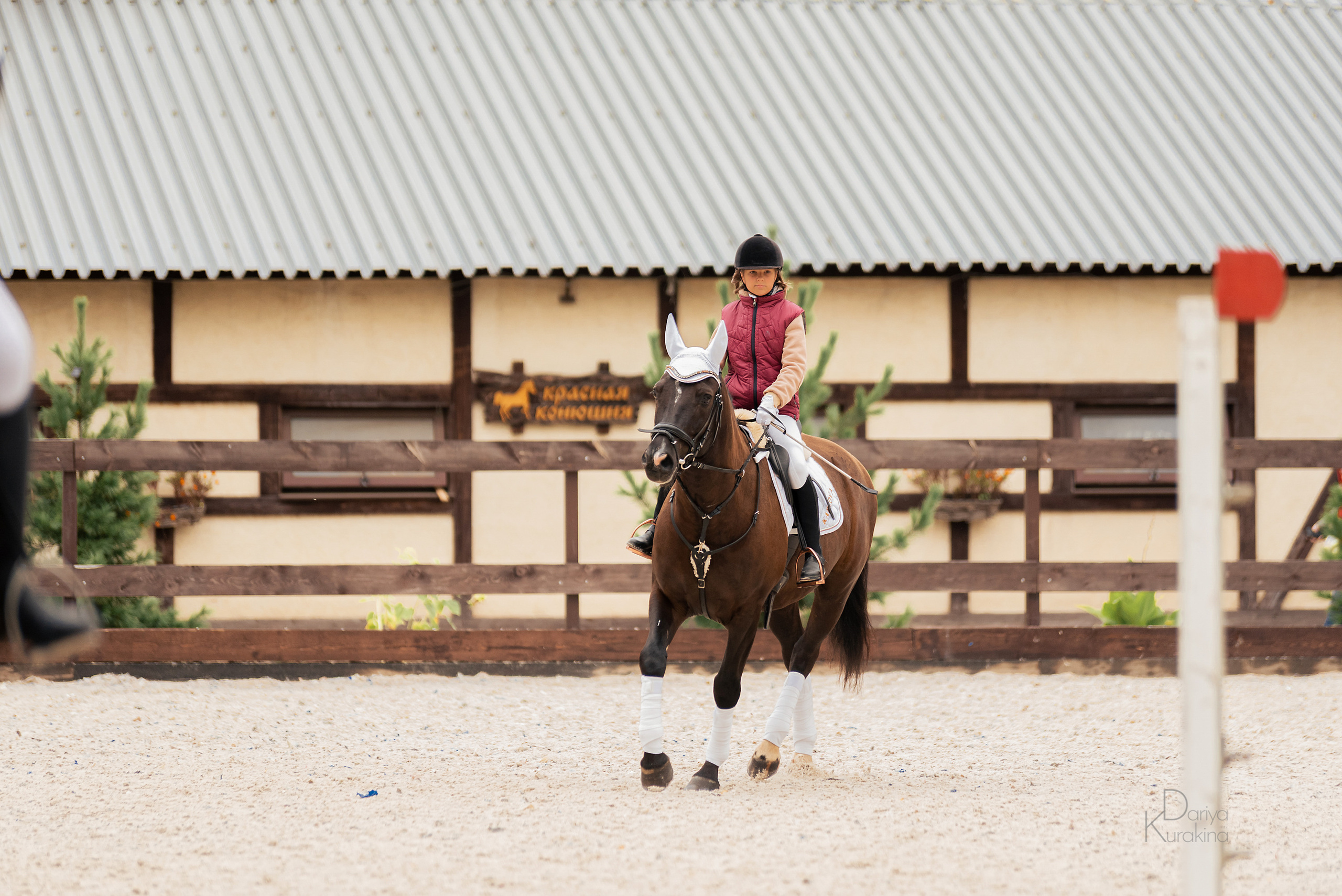 КСК Белая Дача, конкур. Конный фотограф Куракина Дарья • Фотосессии с лошадьми