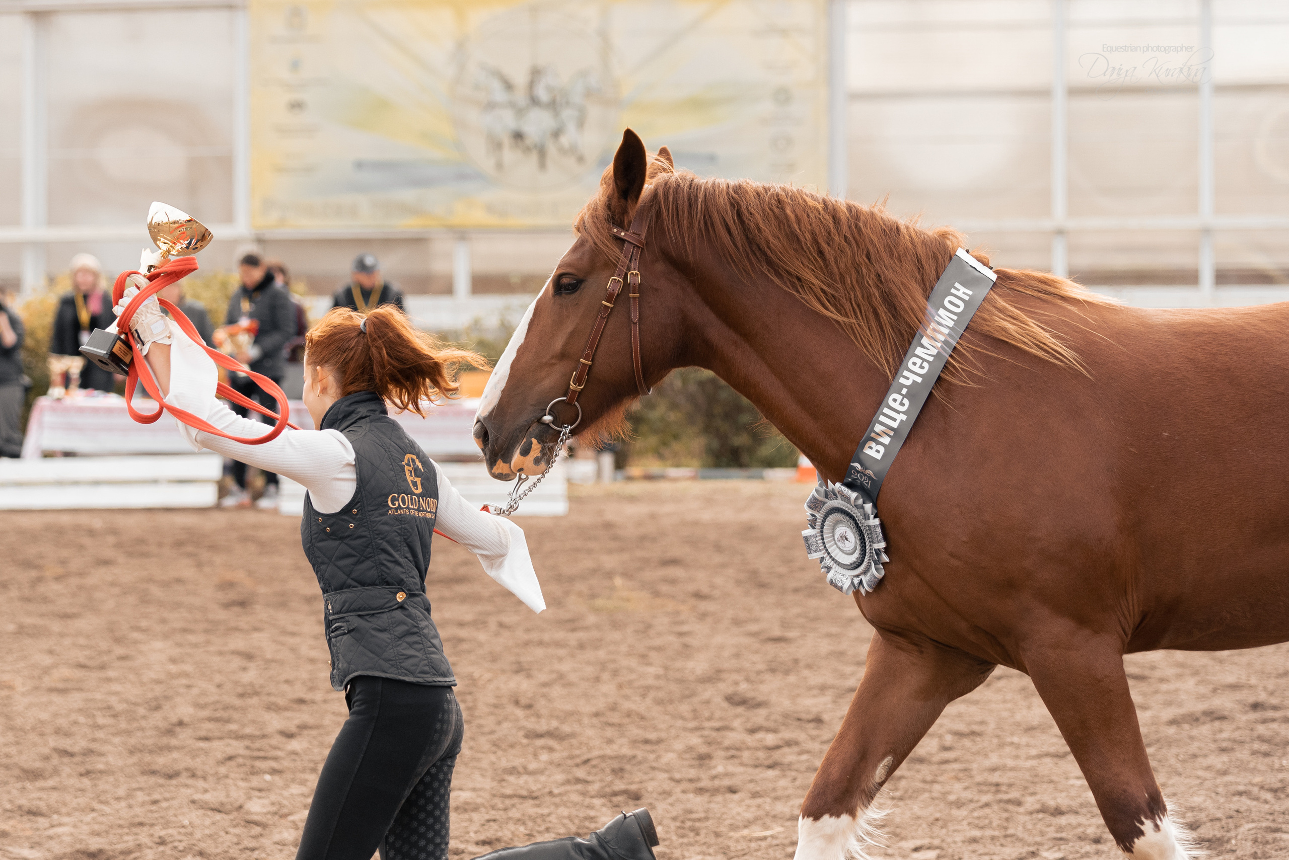 Богдарня. Конный фотограф Куракина Дарья • Фотосессии с лошадьми