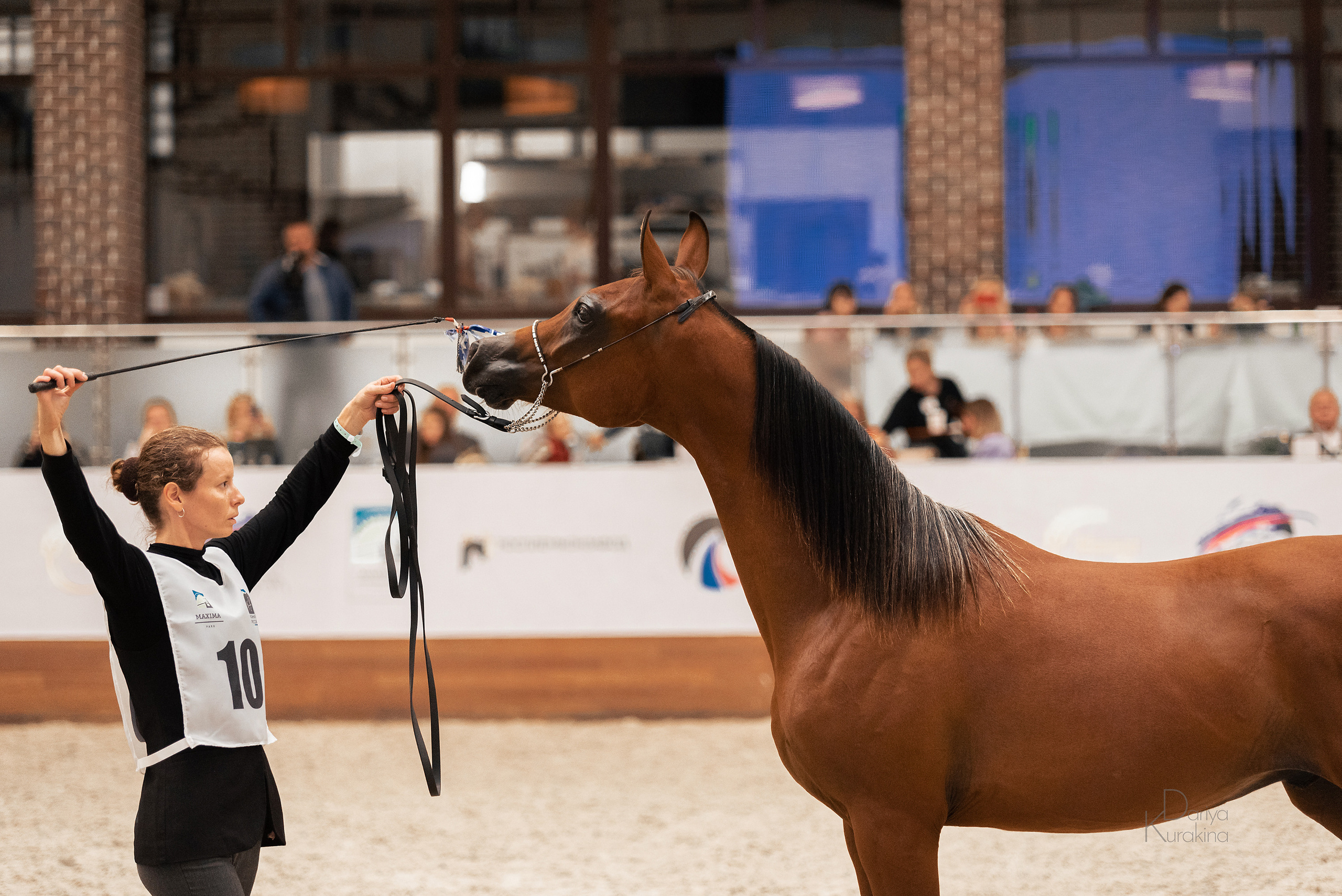 Конная Россия 2021. Конный фотограф Куракина Дарья • Фотосессии с лошадьми