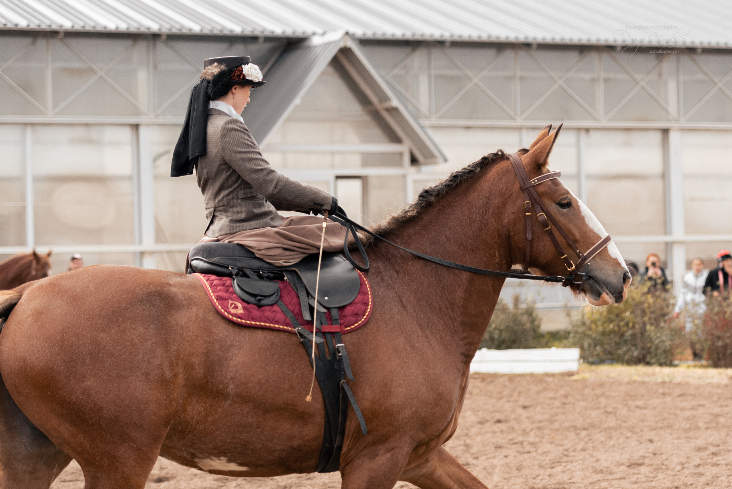 Богдарня. Конный фотограф Куракина Дарья • Фотосессии с лошадьми