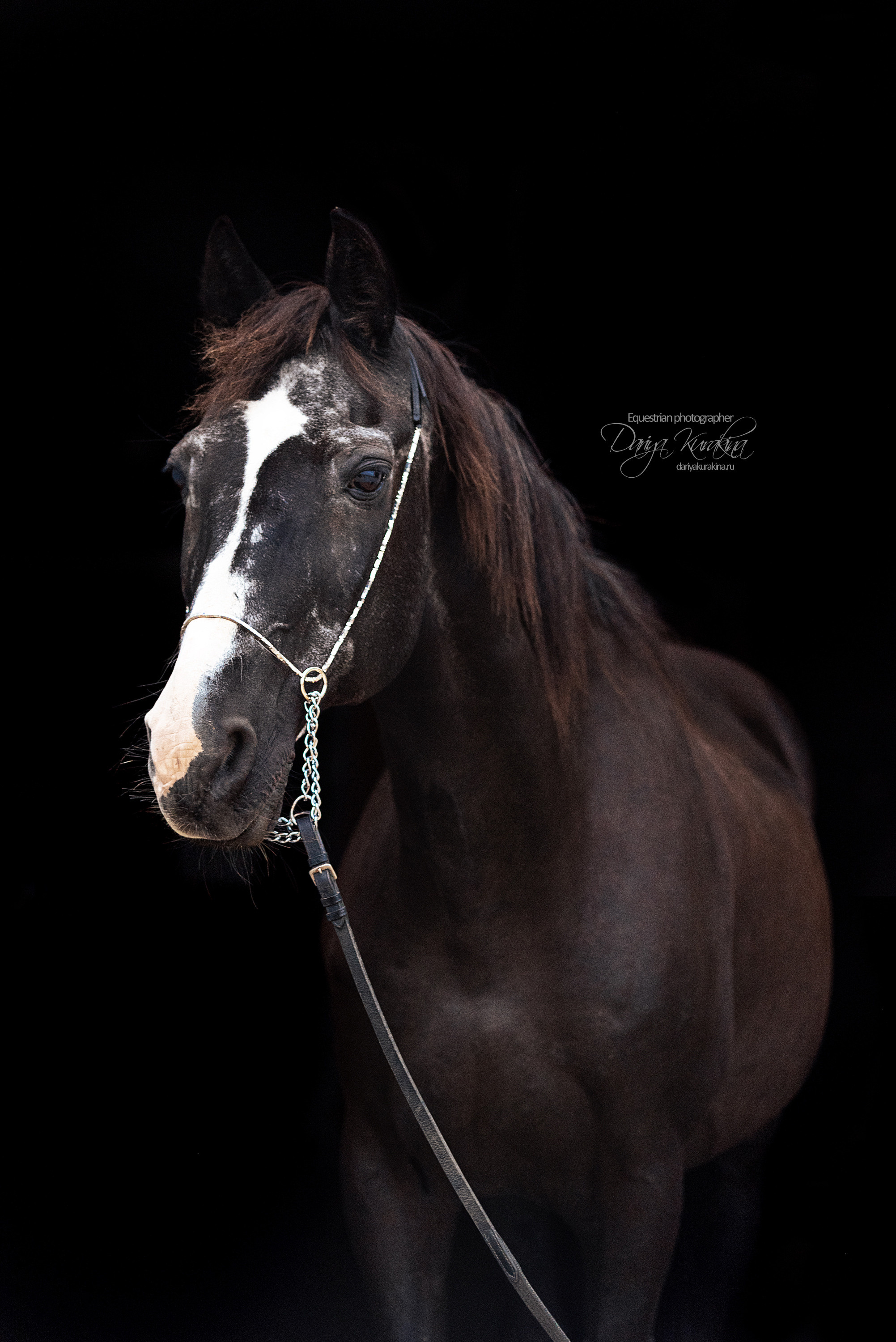Дед Нарцисс. Конный фотограф Куракина Дарья • Фотосессии с лошадьми