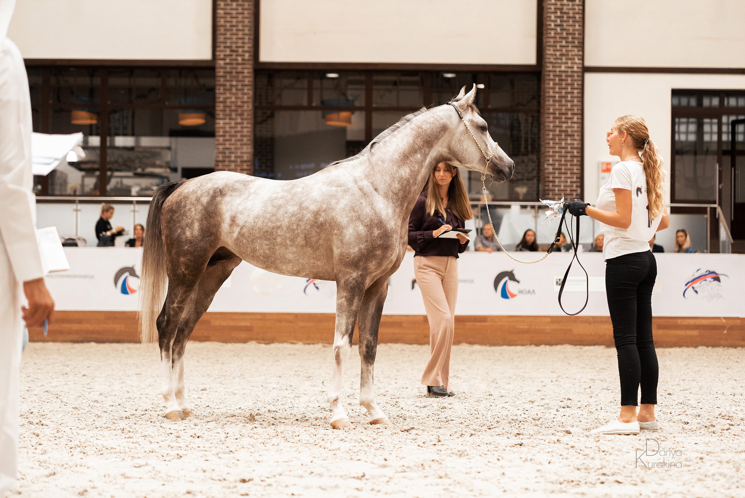 Конная Россия 2021. Конный фотограф Куракина Дарья • Фотосессии с лошадьми