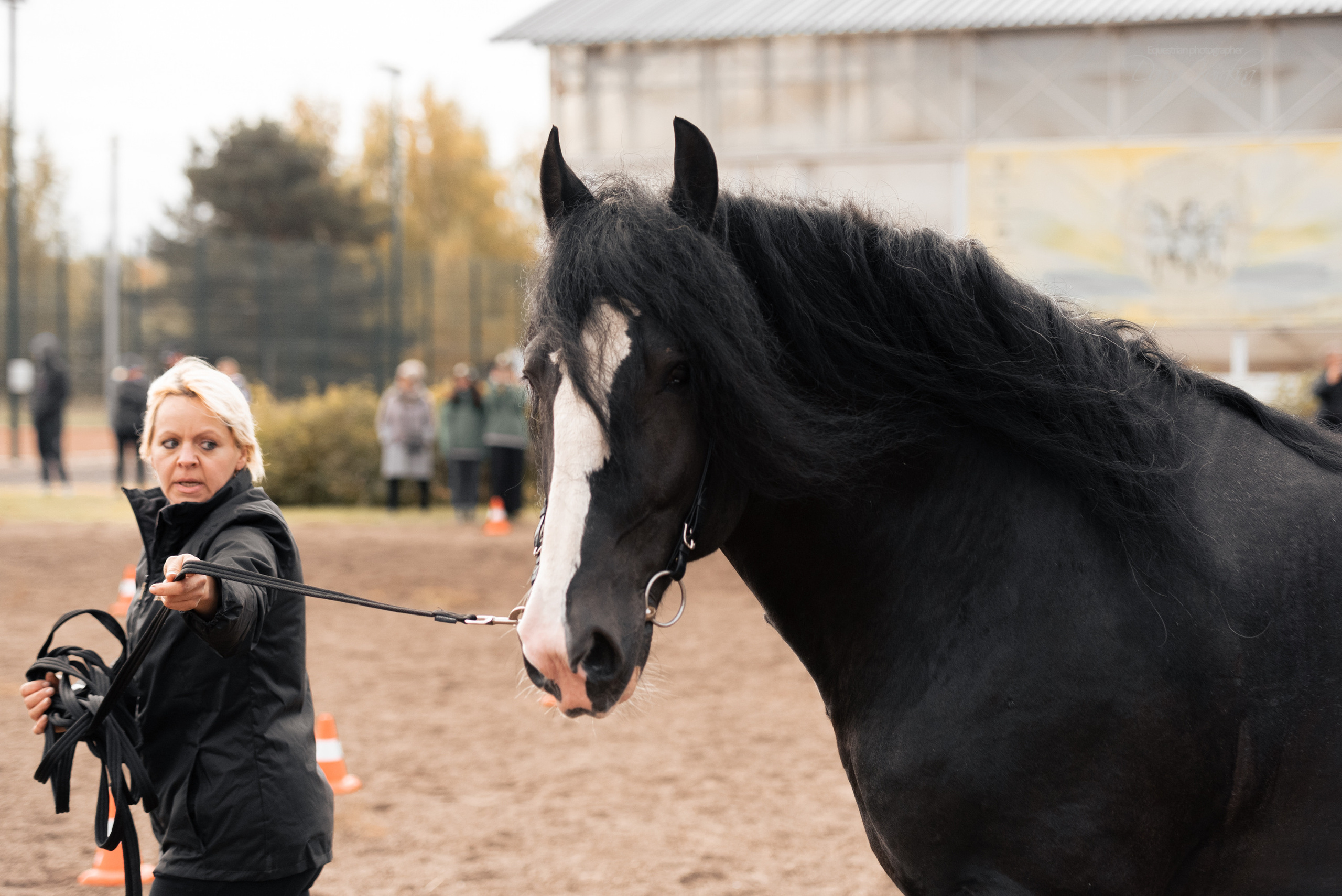 Богдарня. Конный фотограф Куракина Дарья • Фотосессии с лошадьми