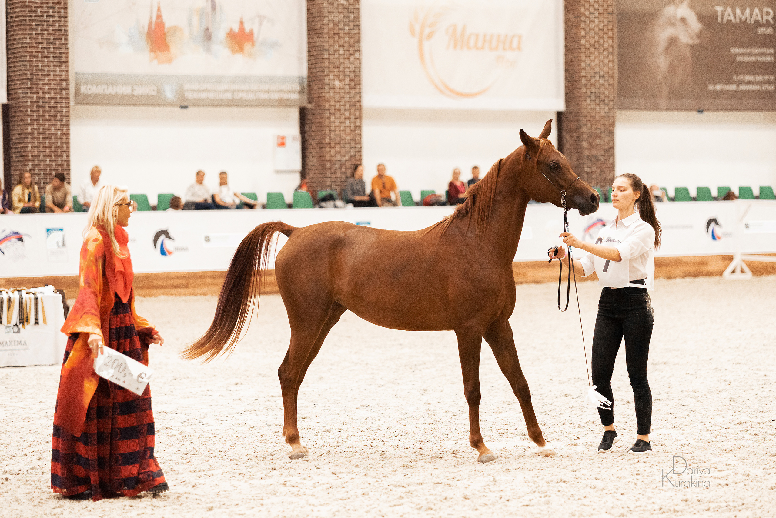 Конная Россия 2021. Конный фотограф Куракина Дарья • Фотосессии с лошадьми