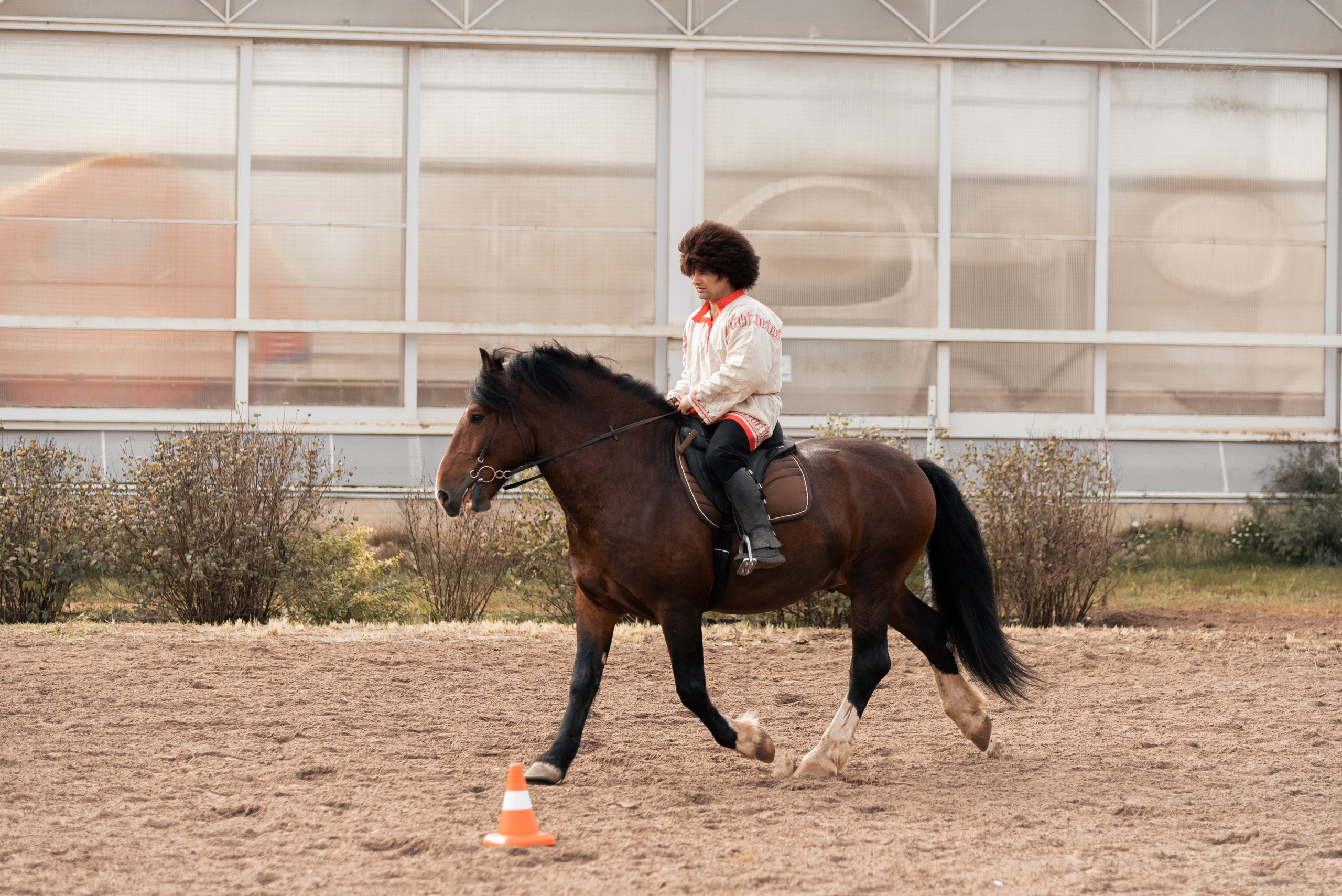 Богдарня. Конный фотограф Куракина Дарья • Фотосессии с лошадьми