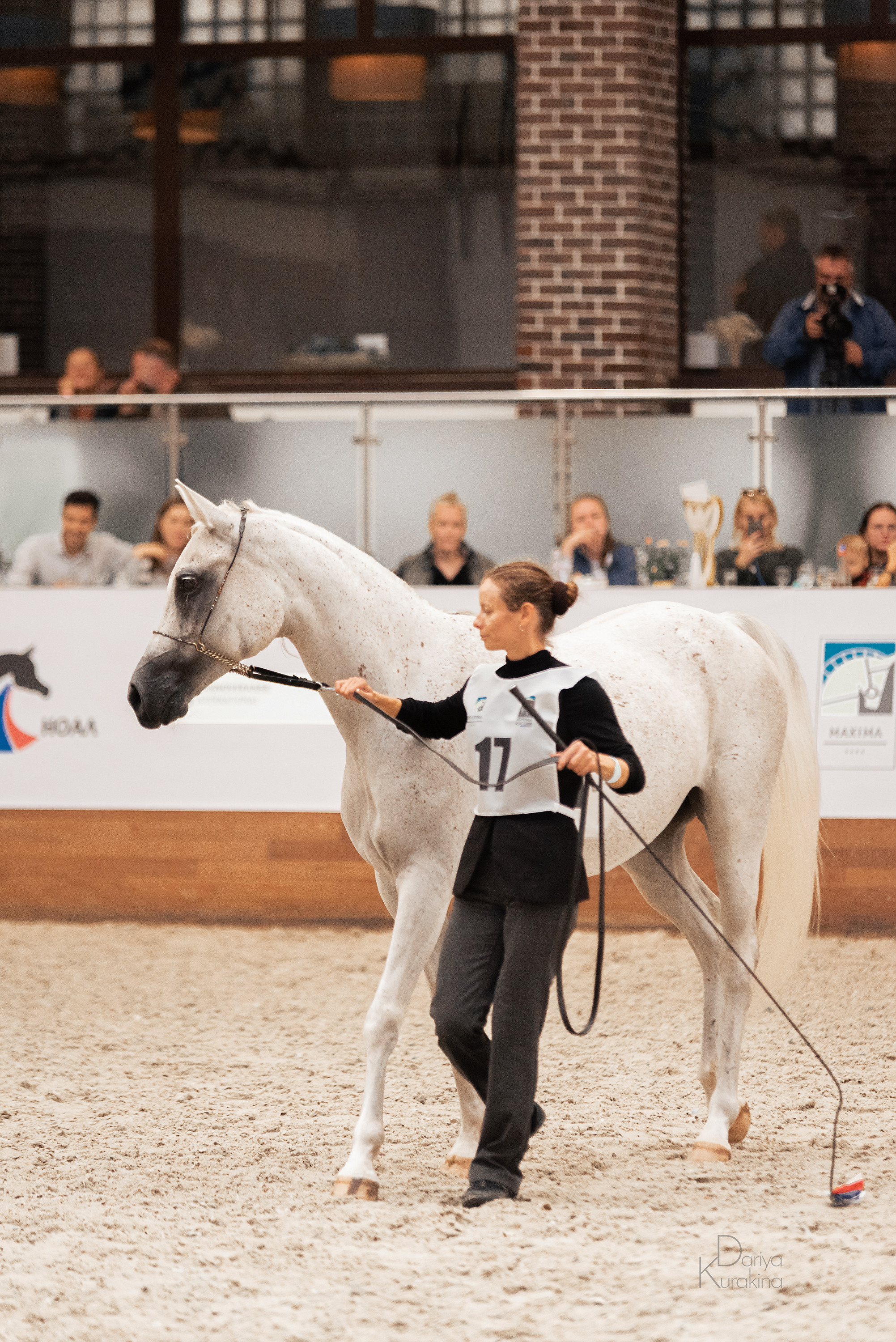 Конная Россия 2021. Конный фотограф Куракина Дарья • Фотосессии с лошадьми