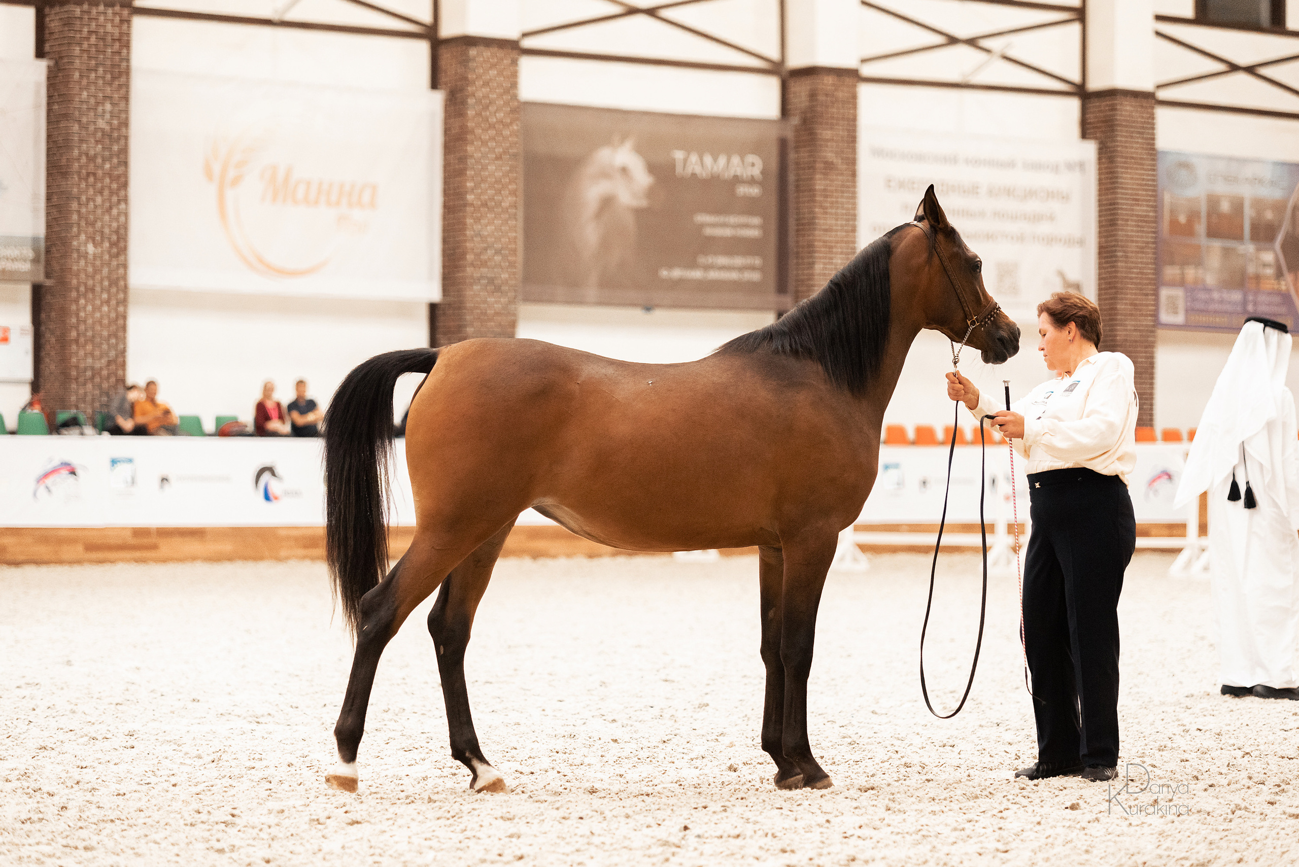 Конная Россия 2021. Конный фотограф Куракина Дарья • Фотосессии с лошадьми