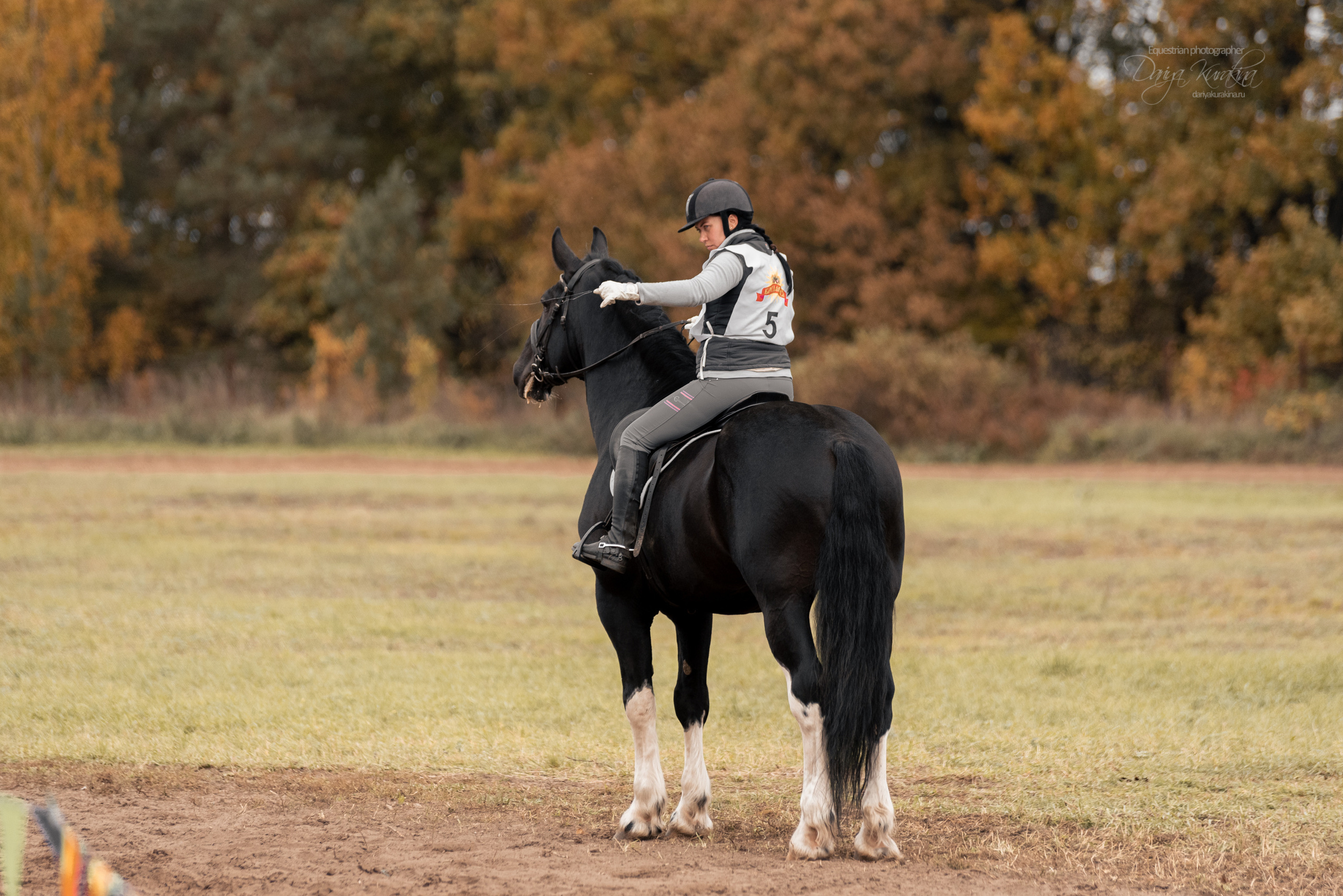 Богдарня. Конный фотограф Куракина Дарья • Фотосессии с лошадьми