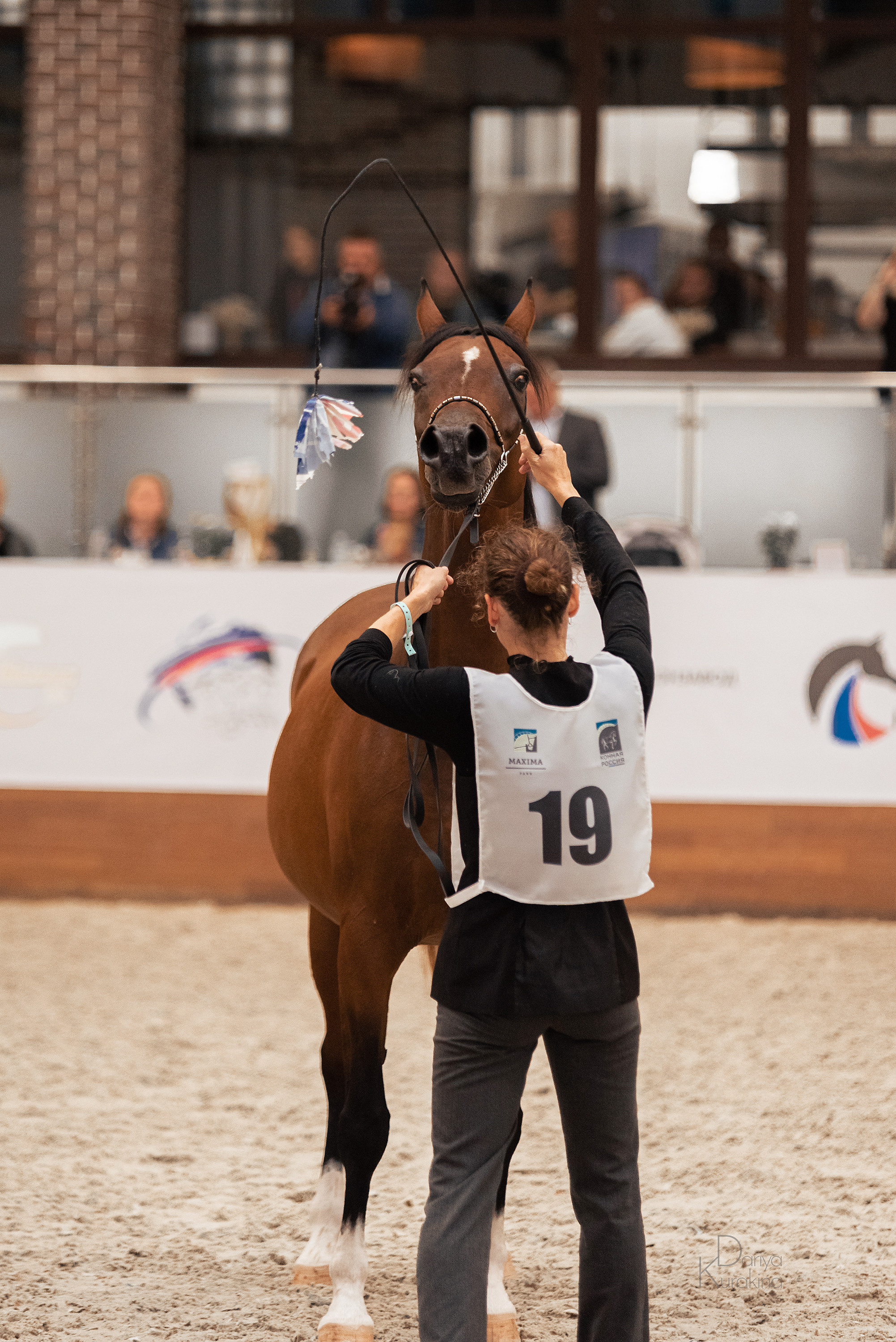 Конная Россия 2021. Конный фотограф Куракина Дарья • Фотосессии с лошадьми