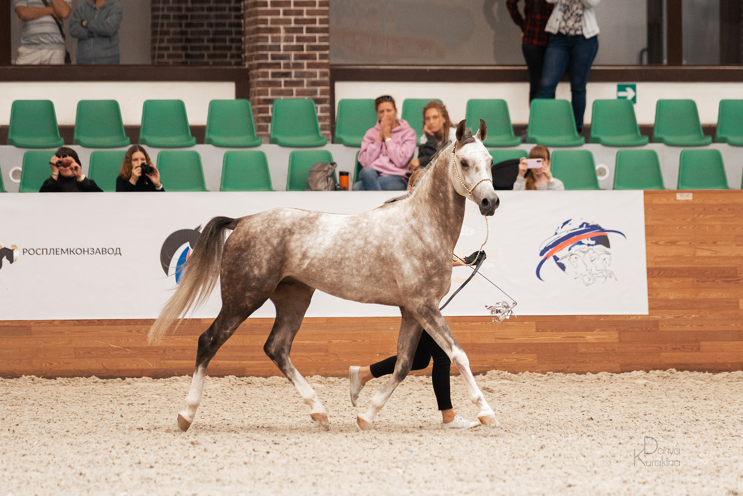 Конная Россия 2021. Конный фотограф Куракина Дарья • Фотосессии с лошадьми