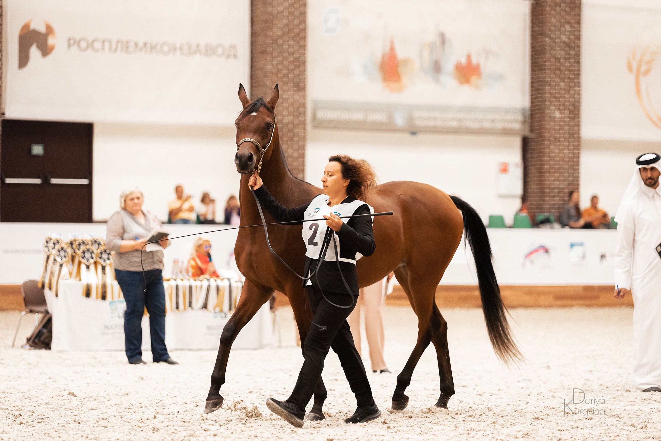 Конная Россия 2021. Конный фотограф Куракина Дарья • Фотосессии с лошадьми