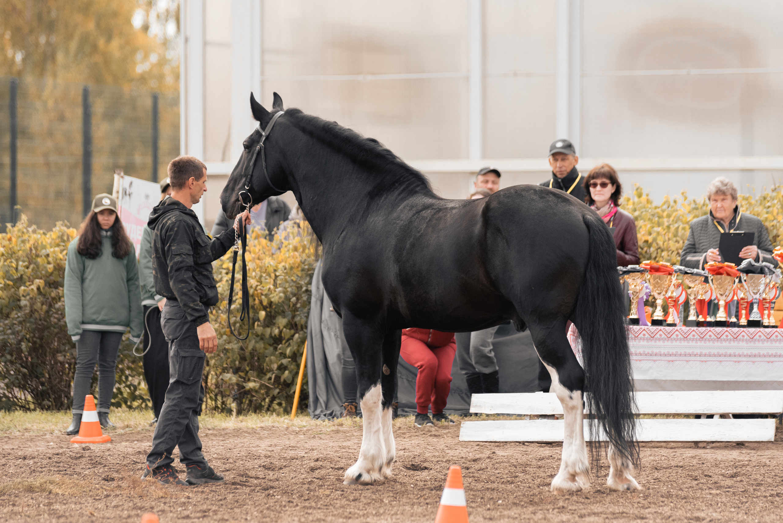 Богдарня. Конный фотограф Куракина Дарья • Фотосессии с лошадьми